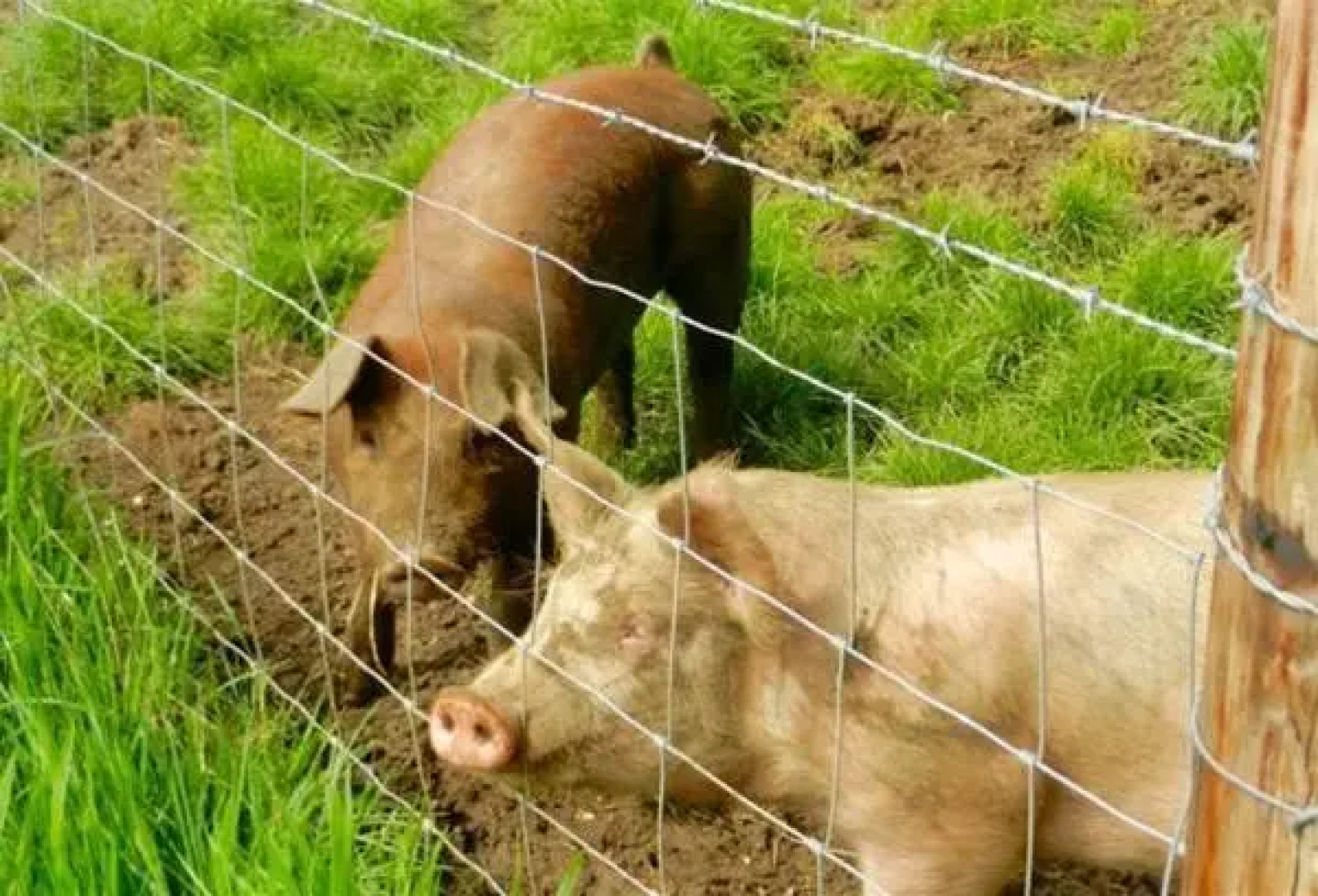 The Old Rectory, Kettlebaston
