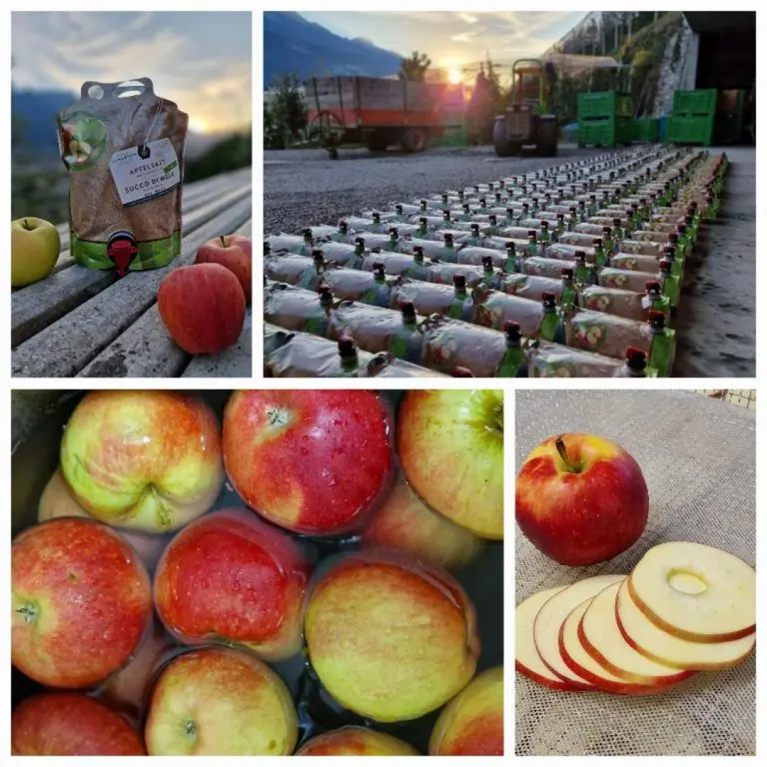 Langstein Bio Urlaub & Genuss