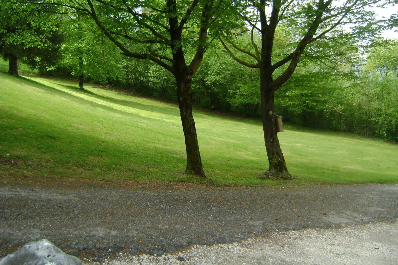 Affittacamere Rubino