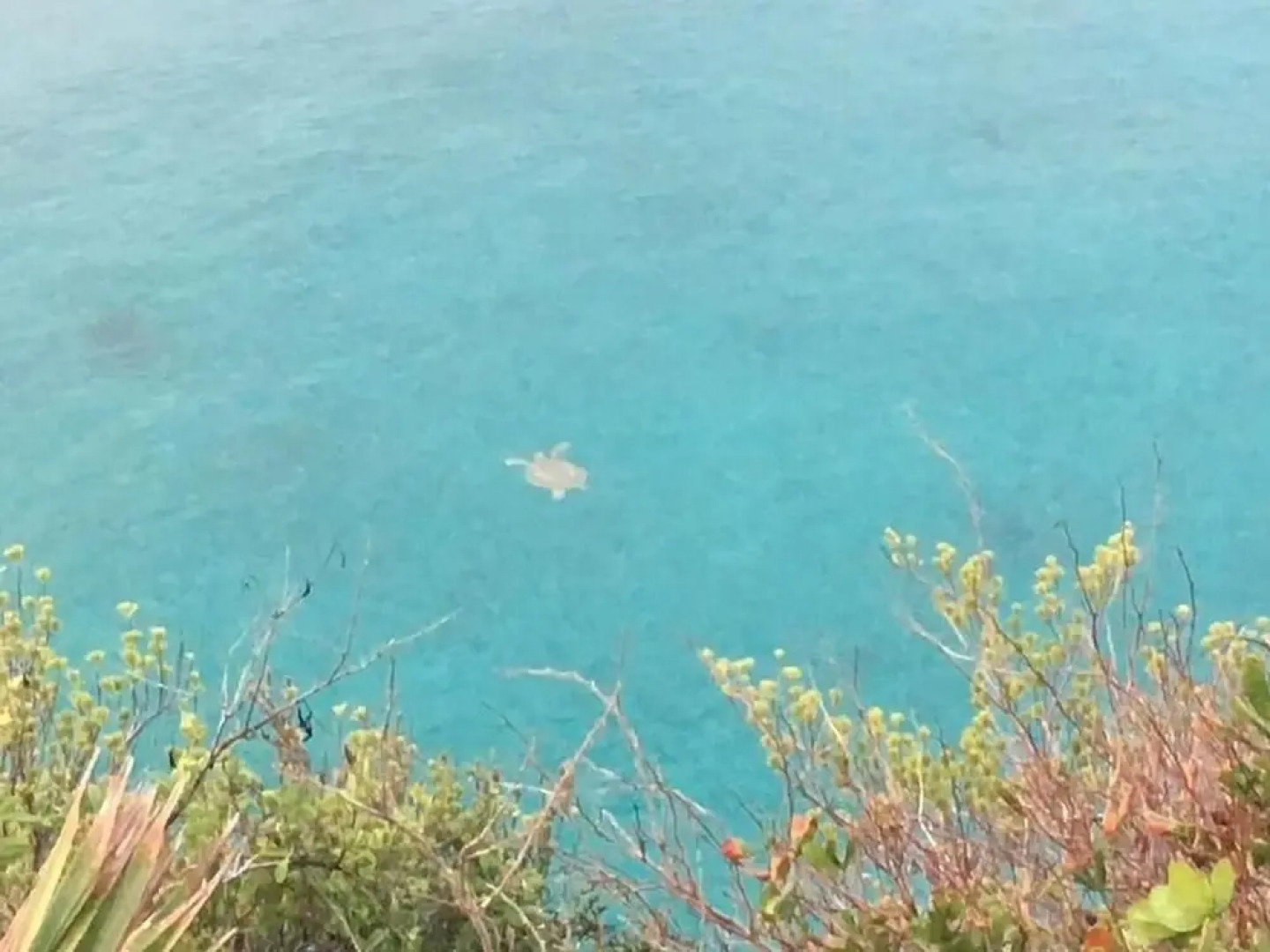 Palm Bluff 2 Bedroom Cottage