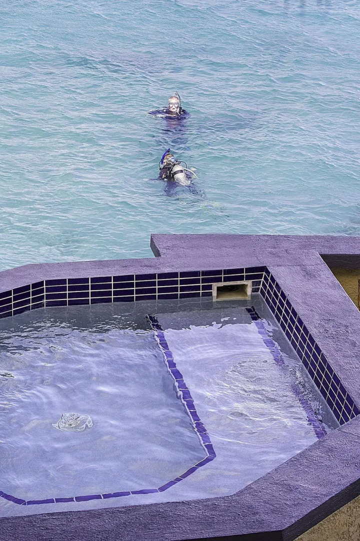 The Bellafonte - Luxury Oceanfront Hotel