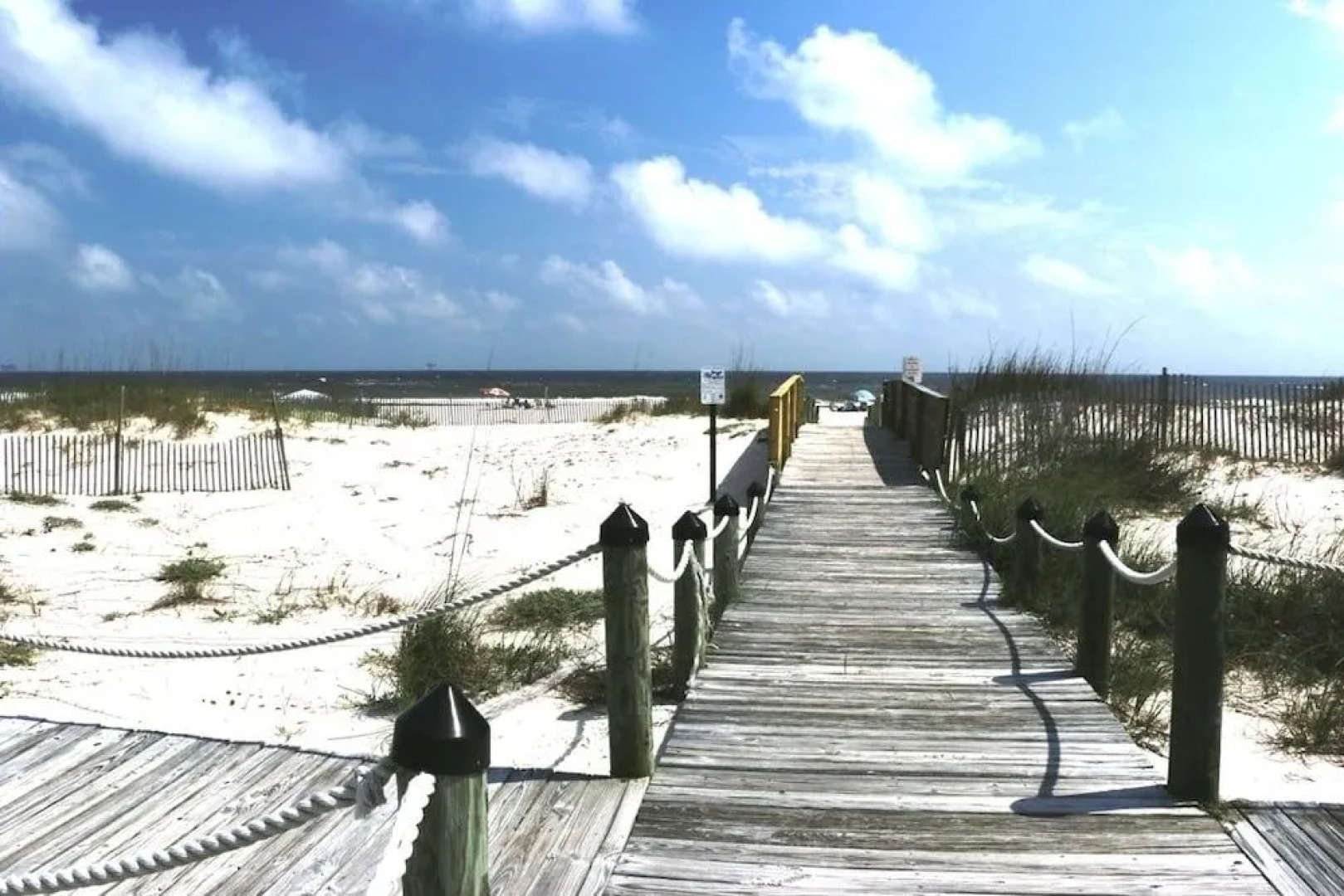 Sea Turtle by RedAwning