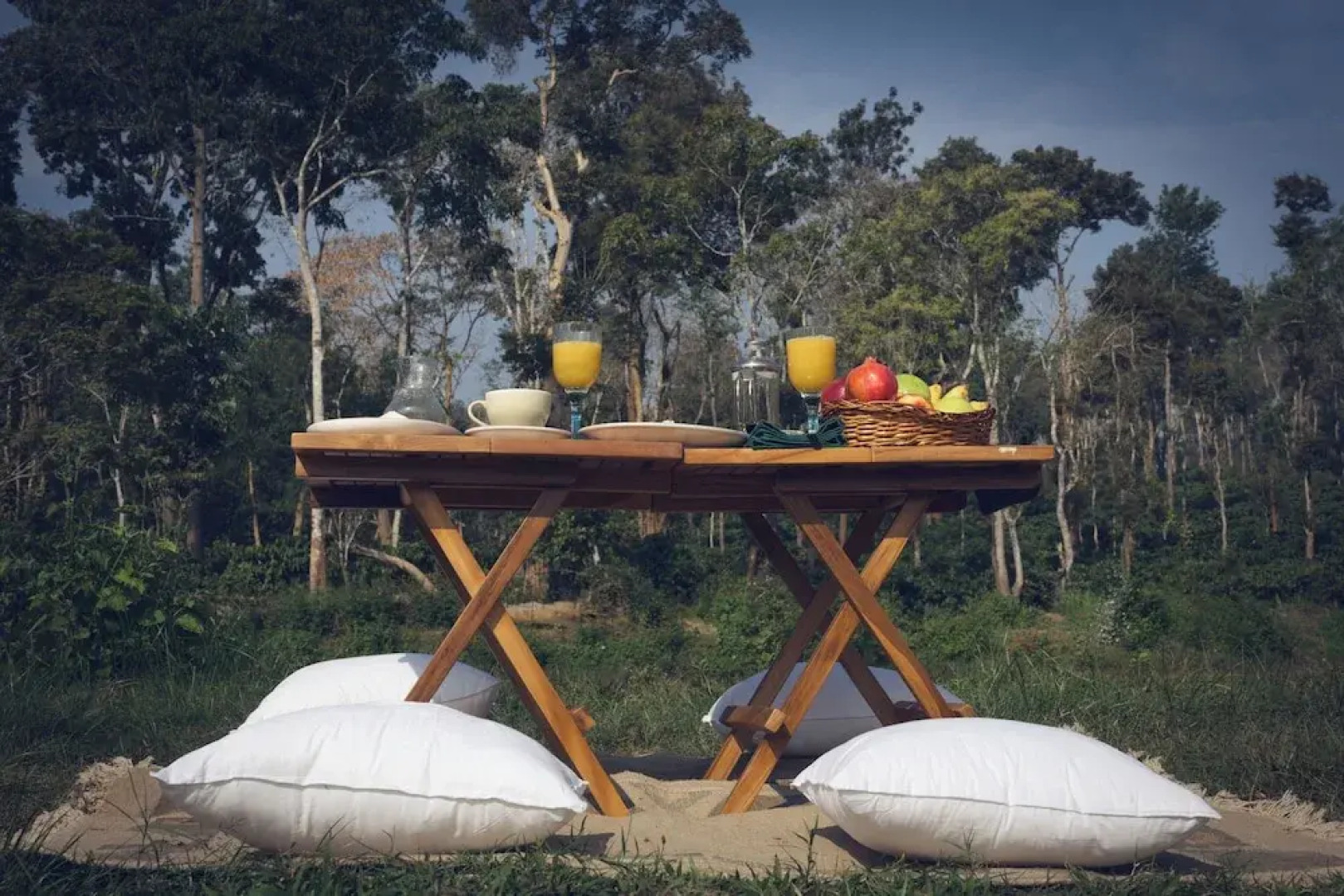 Coorg Wild Walk- CGH Earth Saha