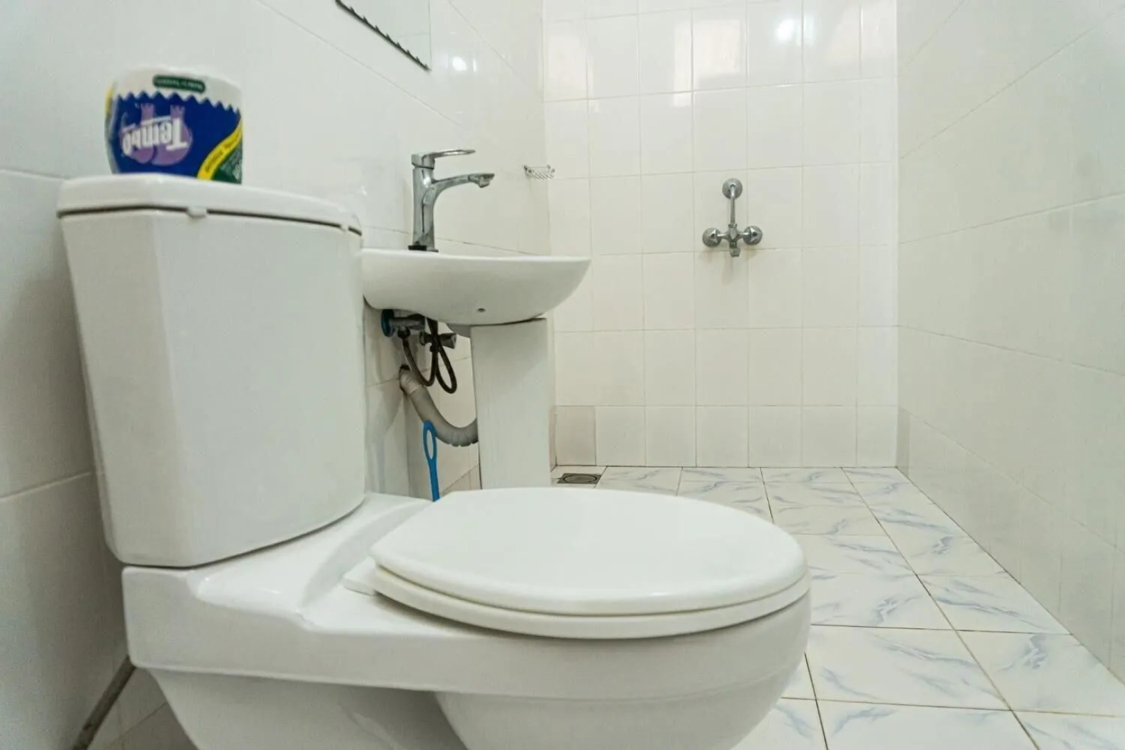 Simba Garden Lodge - Hostel