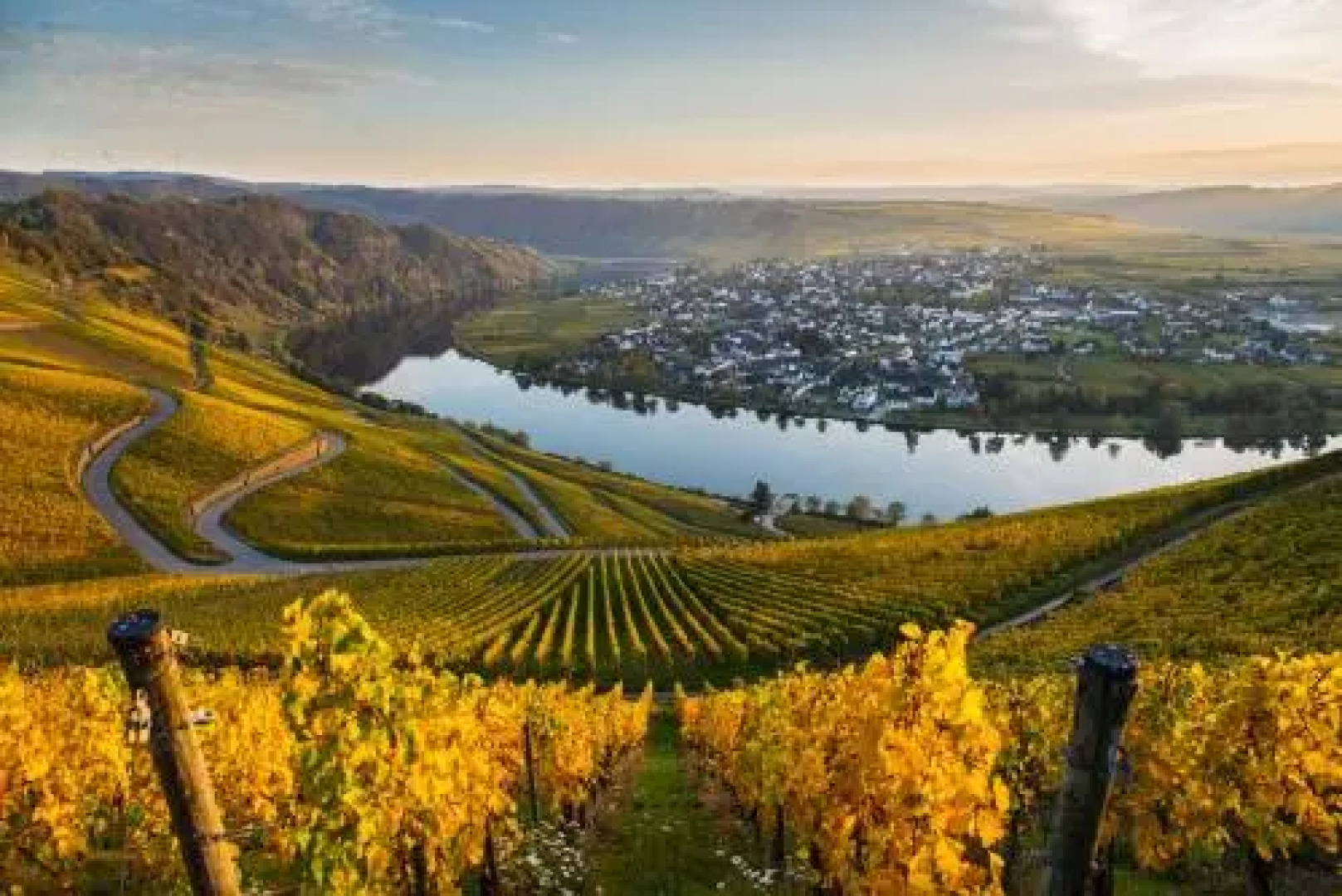 Gasthaus Moselloreley