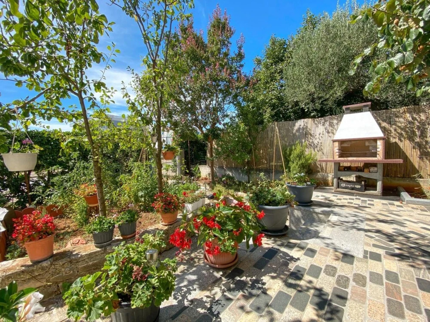 Dodi A4 2 in Novigrad