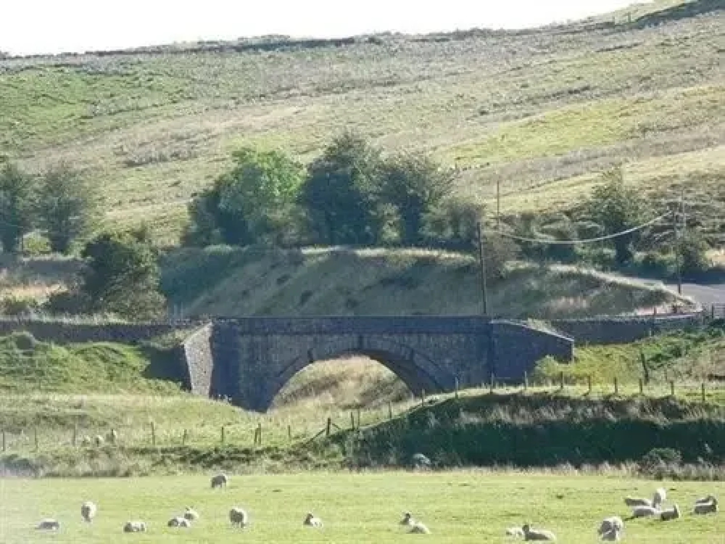 Carronbridge Guest House