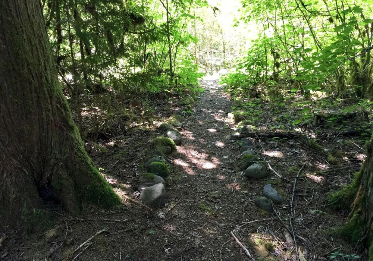 Mt. Baker Rim Cabin #8