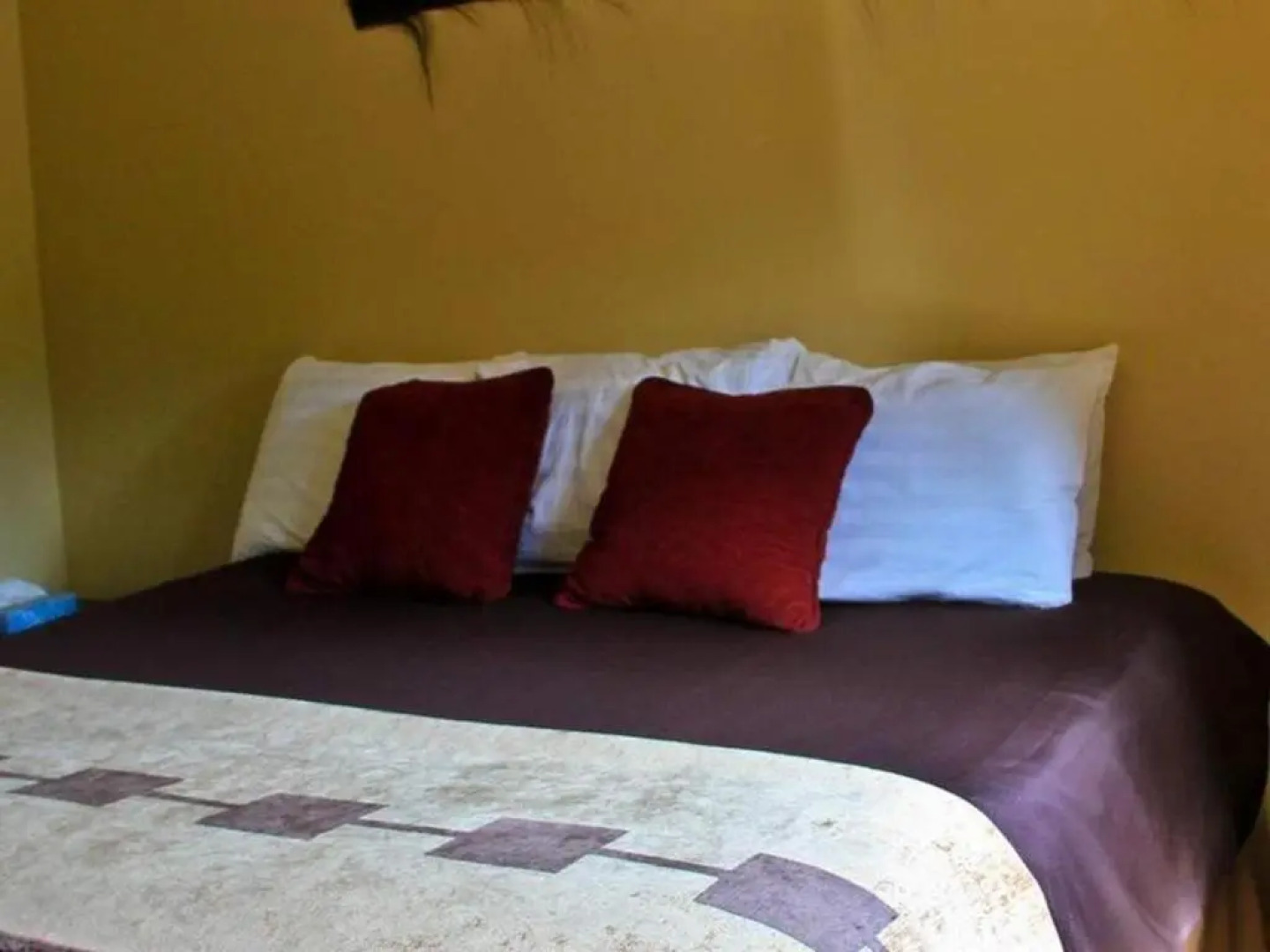 McKinley Creekside Cabins