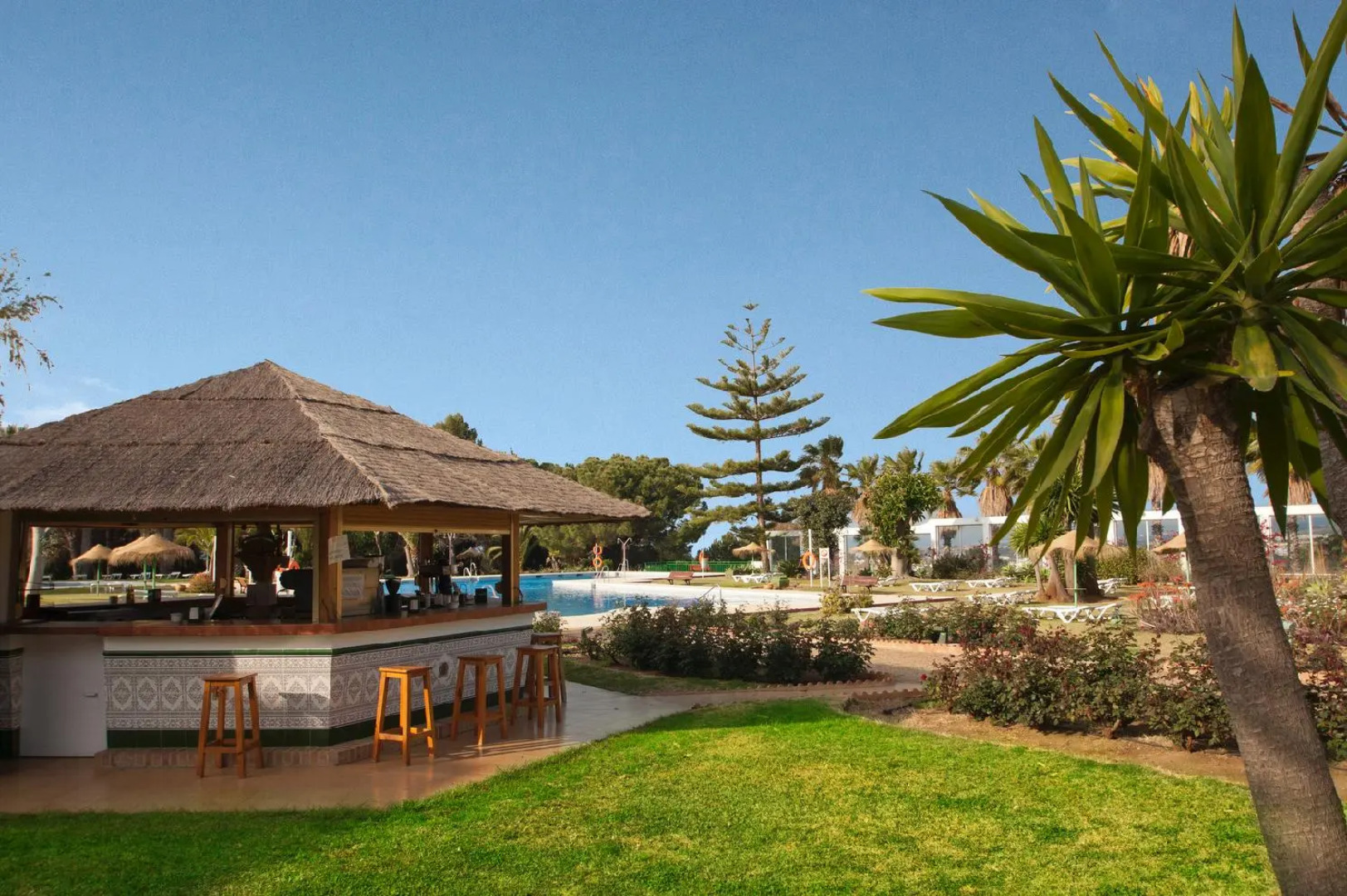 Отель TRH Paraiso