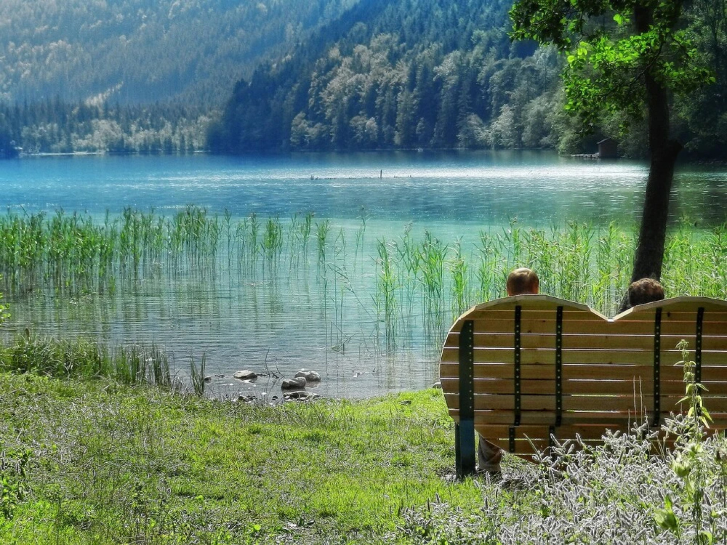 Reichenstein mit Sauna Eisenerz