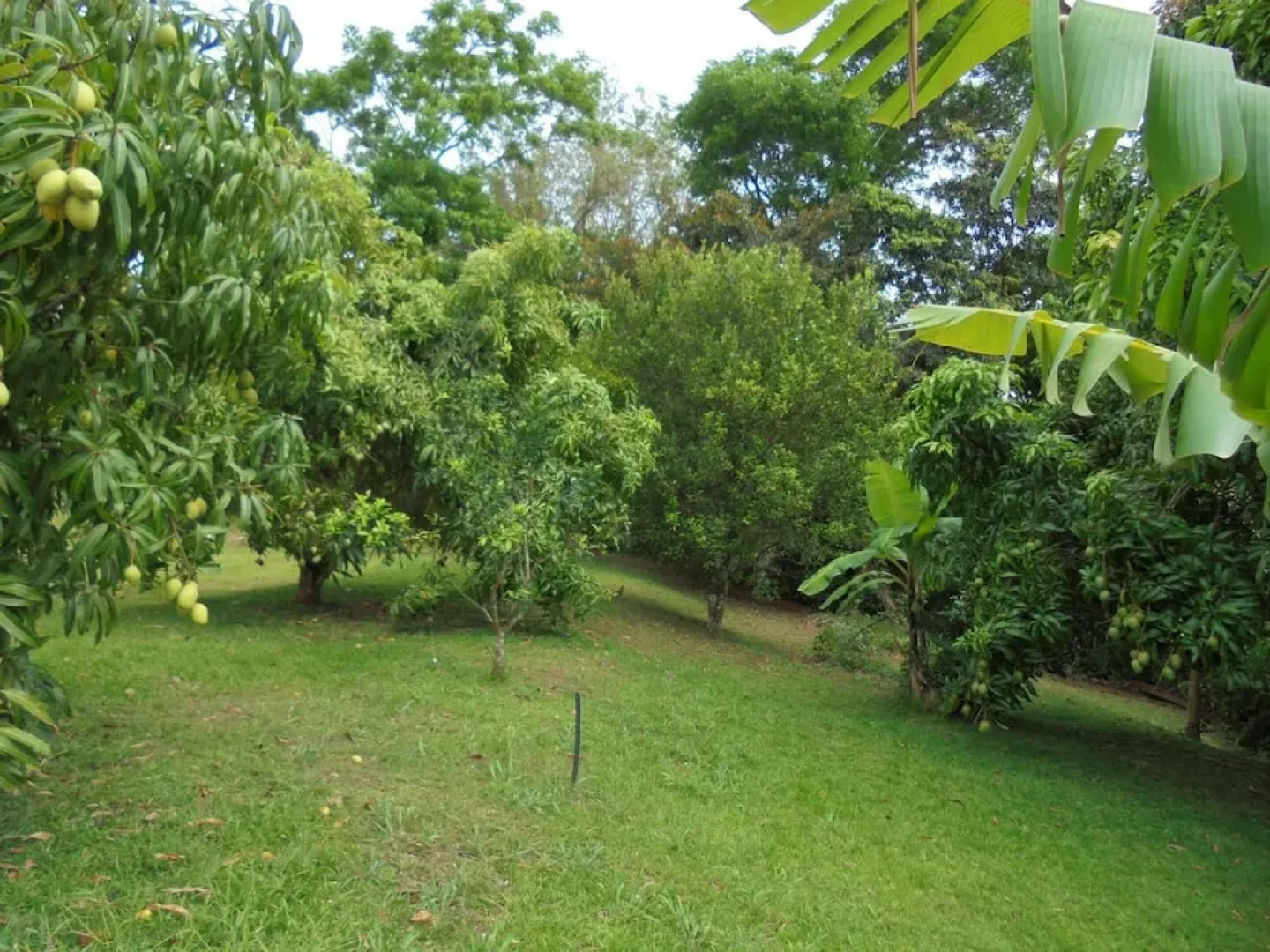 Apartment With 2 Bedrooms In Le Lamentin With Wonderful Mountain View Furnished Garden And Wifi