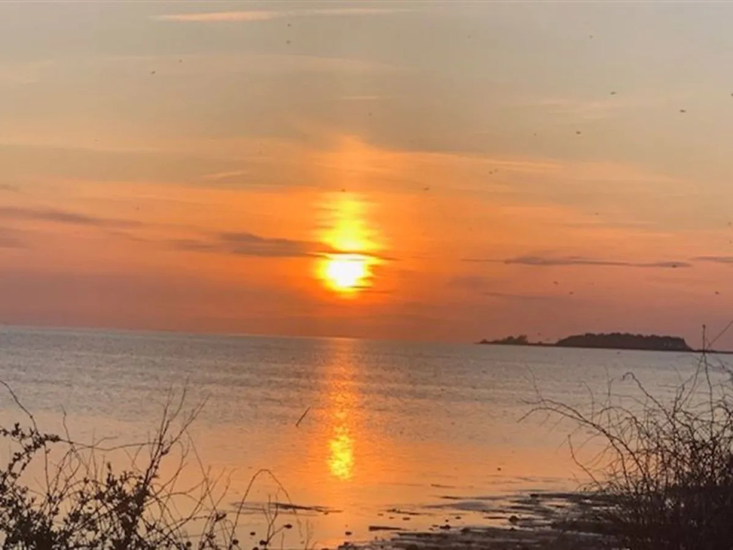 "Asvalde" - 200m to the inlet in Sealand