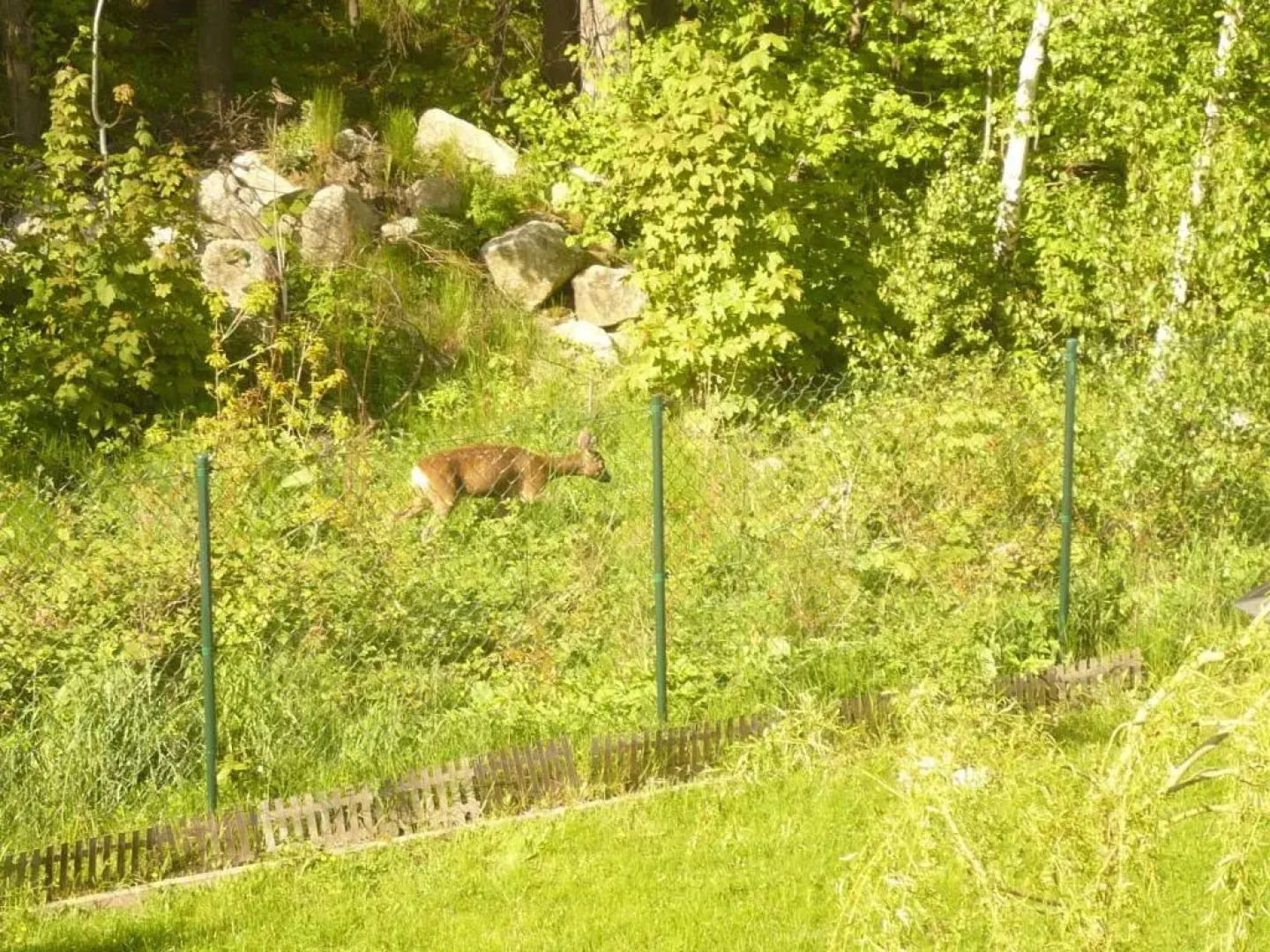 Wynajem Pokoi Willa Pod Lasem