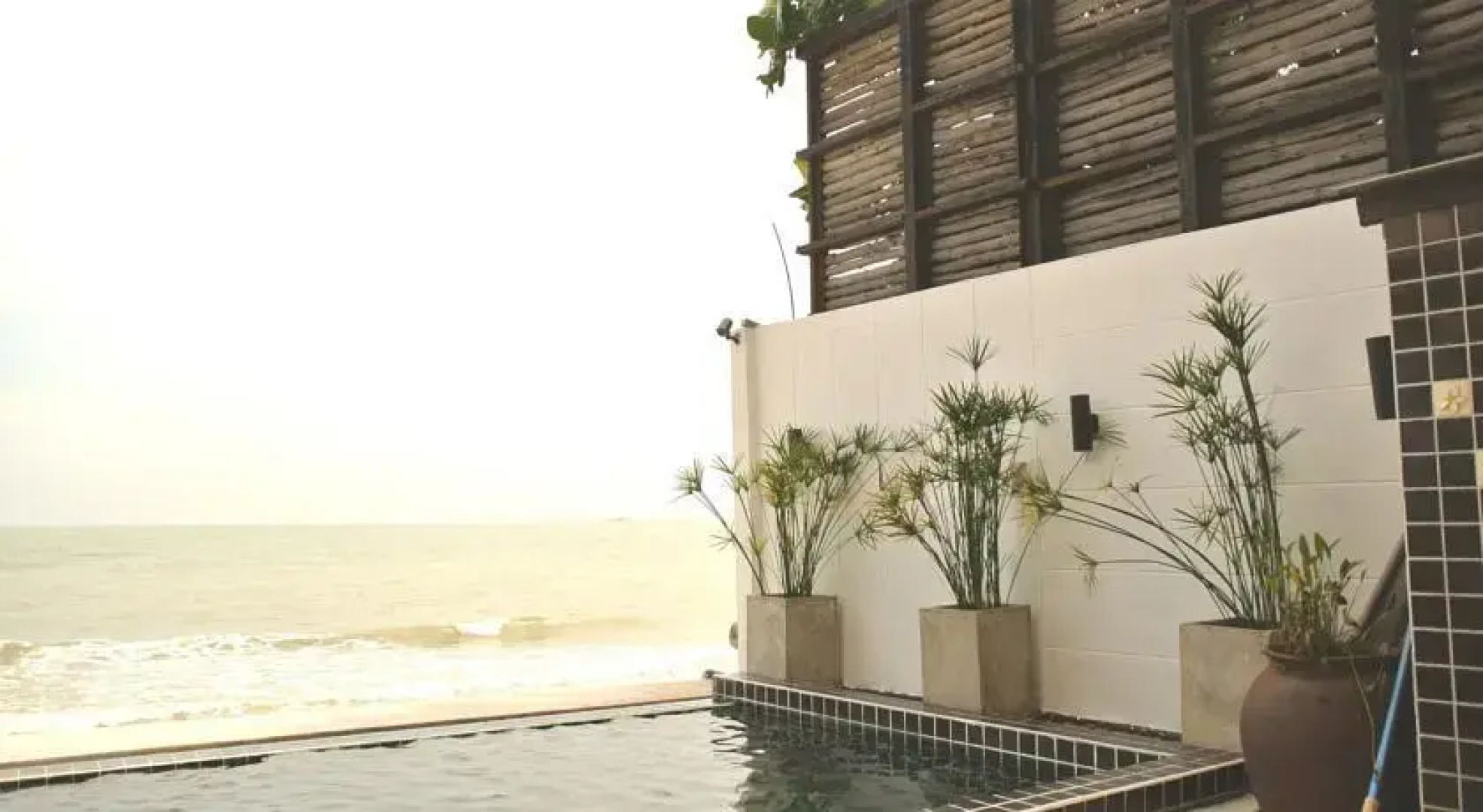 The Herbs By The Sea