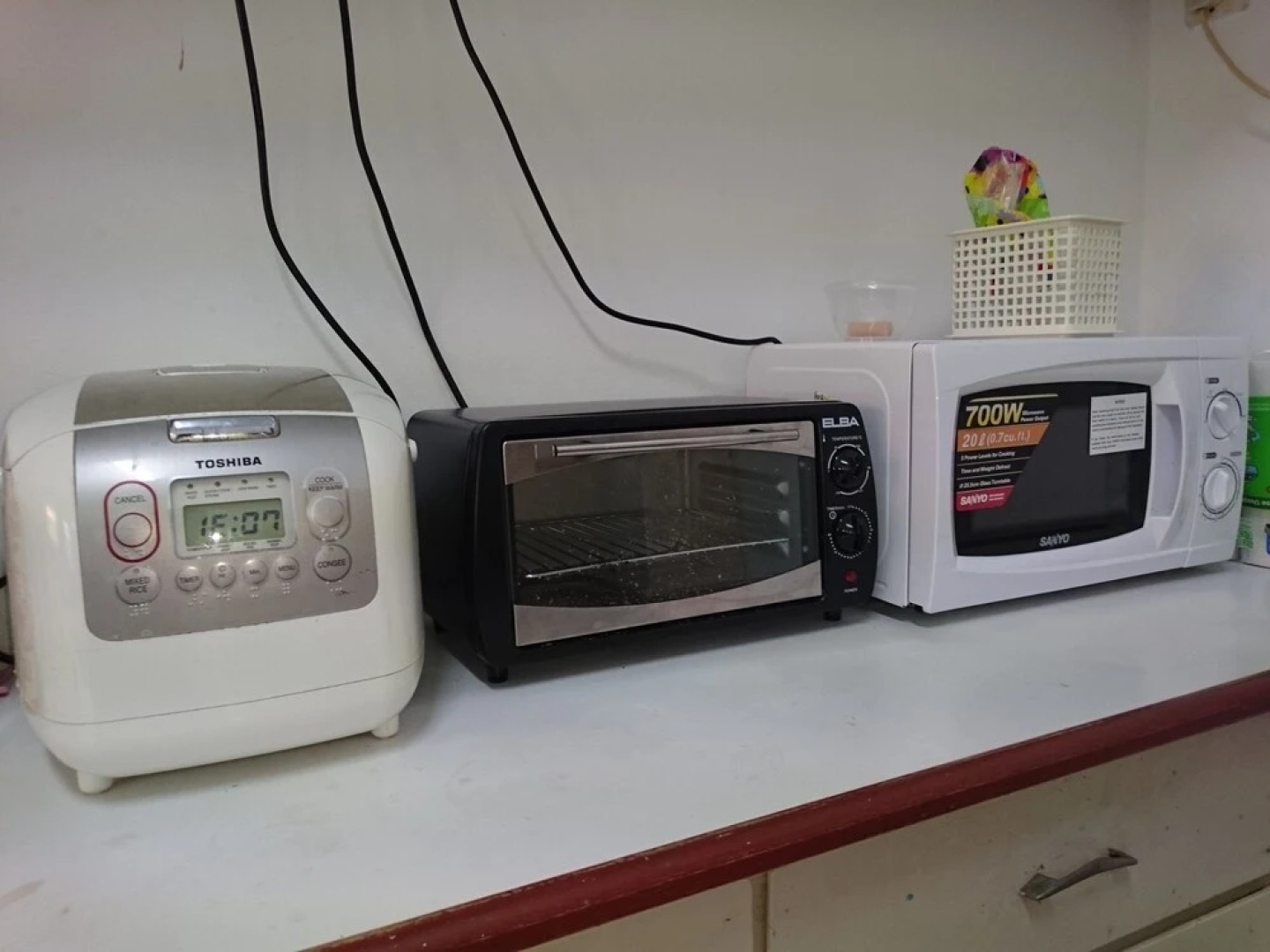 Sea Lion by the Beach