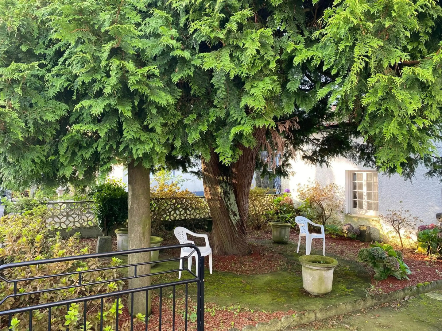 THE CEDAR TREE HOUSE Studio 48