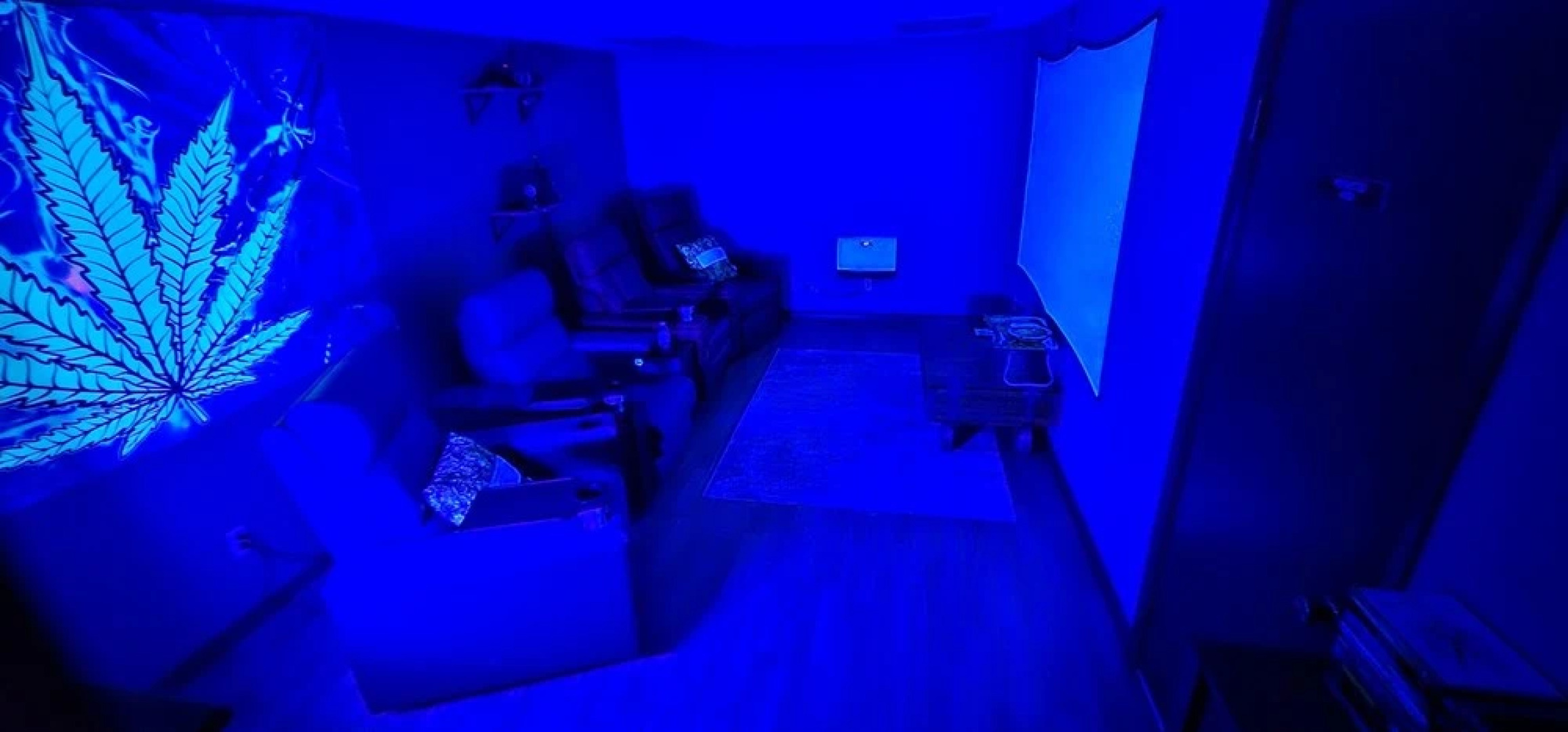 The Canna House by High Society Rentals