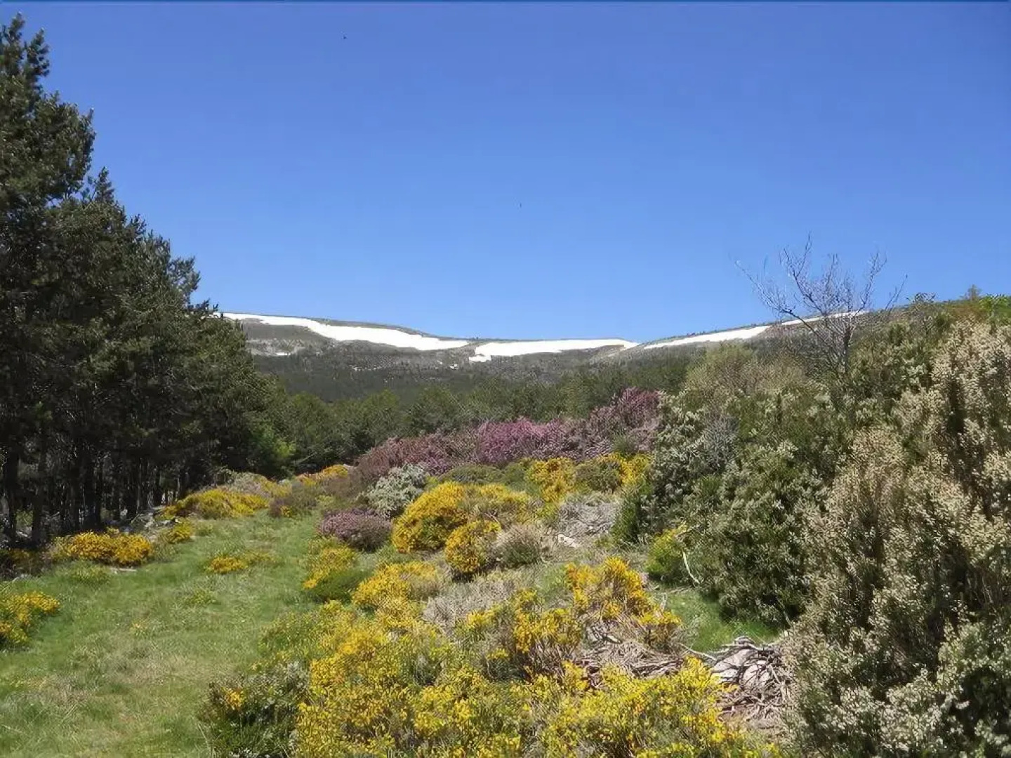 Apartamentos Remanso del Río Razón
