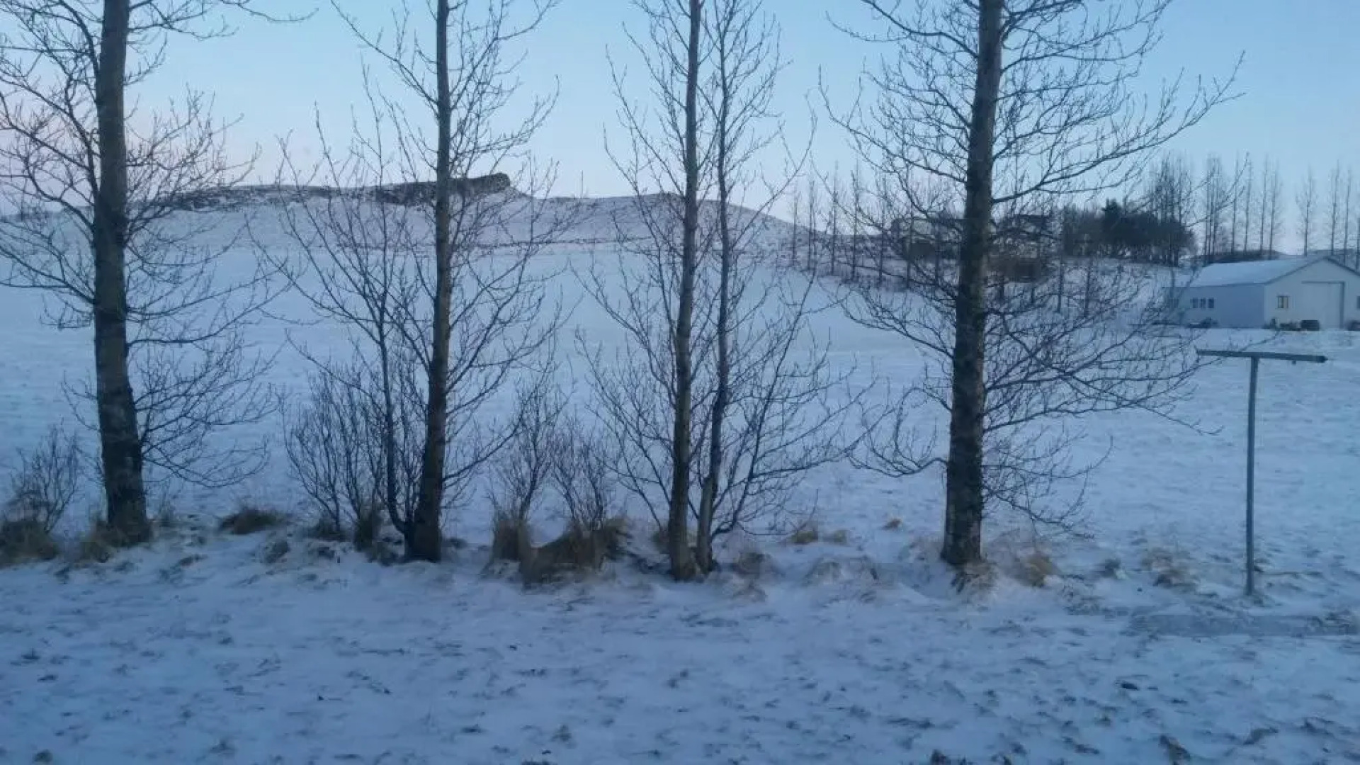 Skyggnir Bed and Breakfast