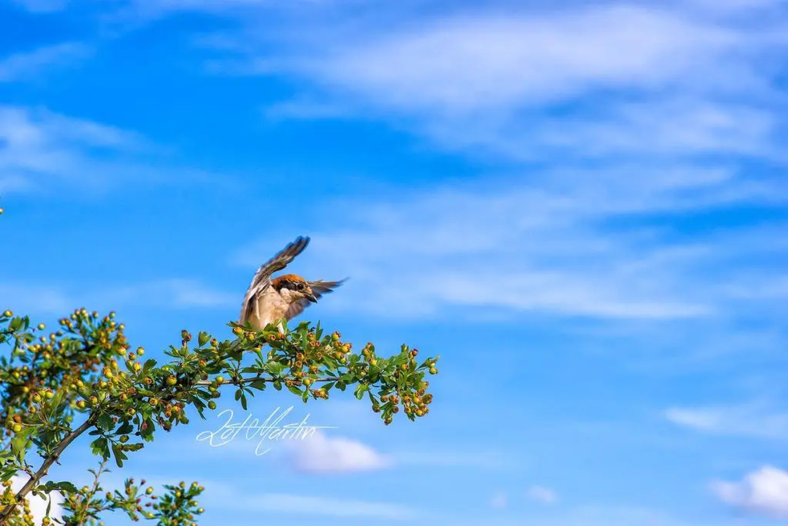 Casa Rural El Corralino
