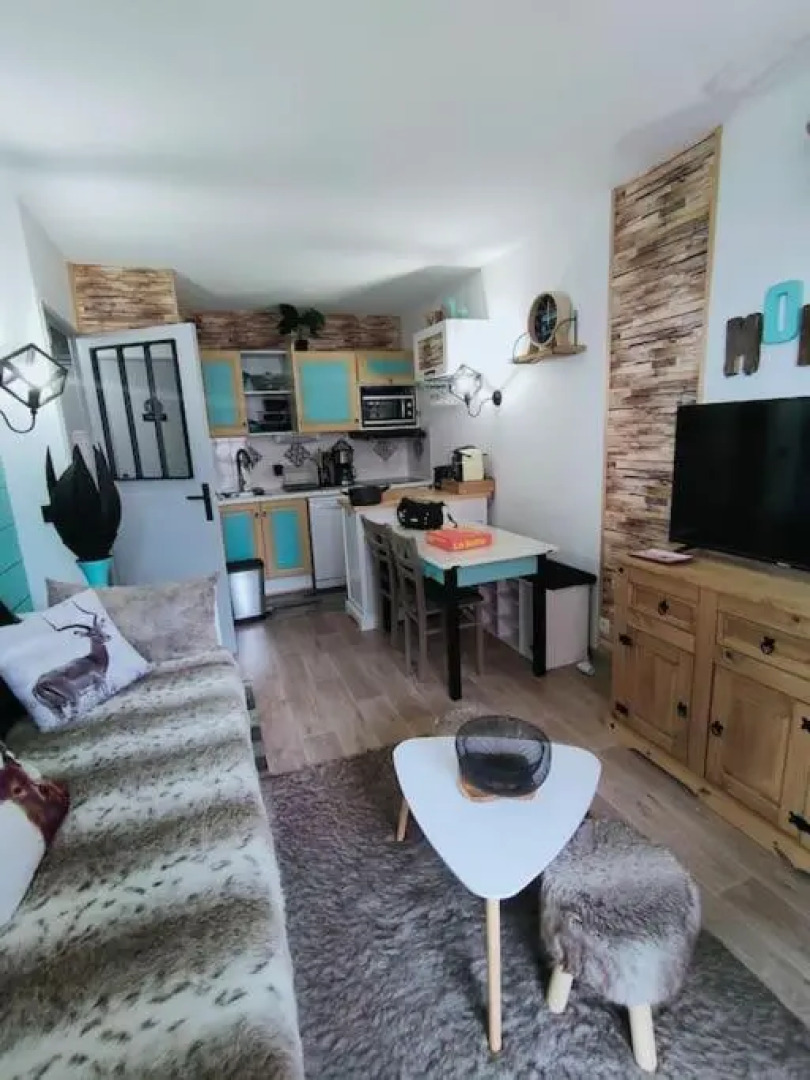 Superbe T2, à 100 mètres des pistes, piscine d'été