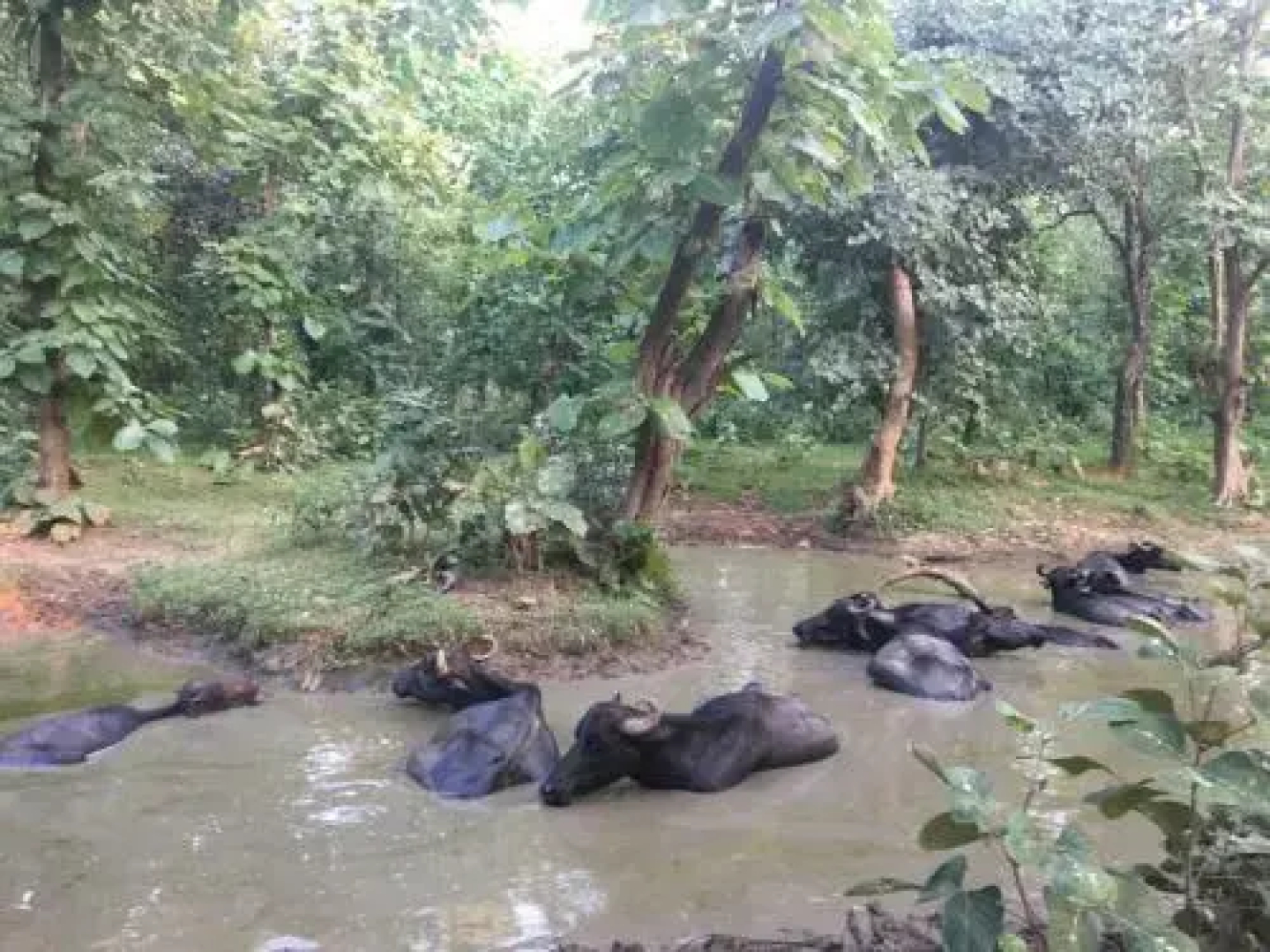 Yogi Ashram Guest House