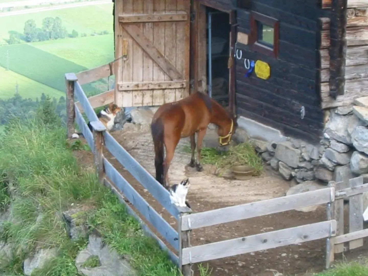 Apartment Alpenblick