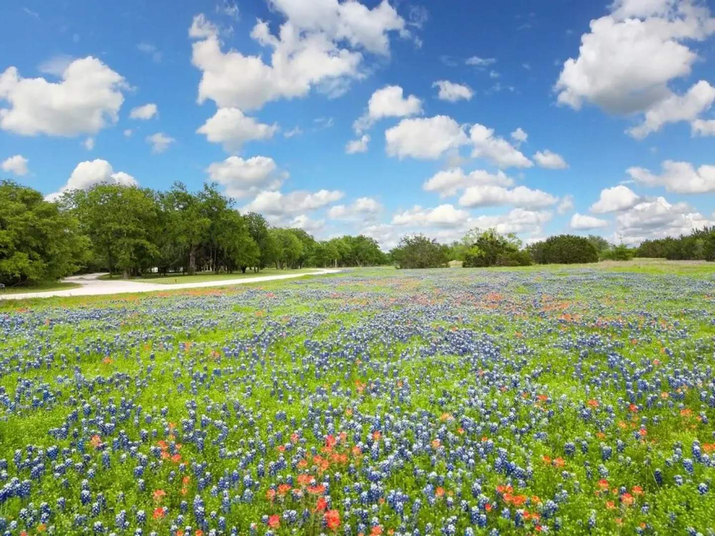 50 Acre Countryside Haven With Hiking Trails, Fossils, Pickleball Court, Basketball, Arcade, and Pool by RedAwning