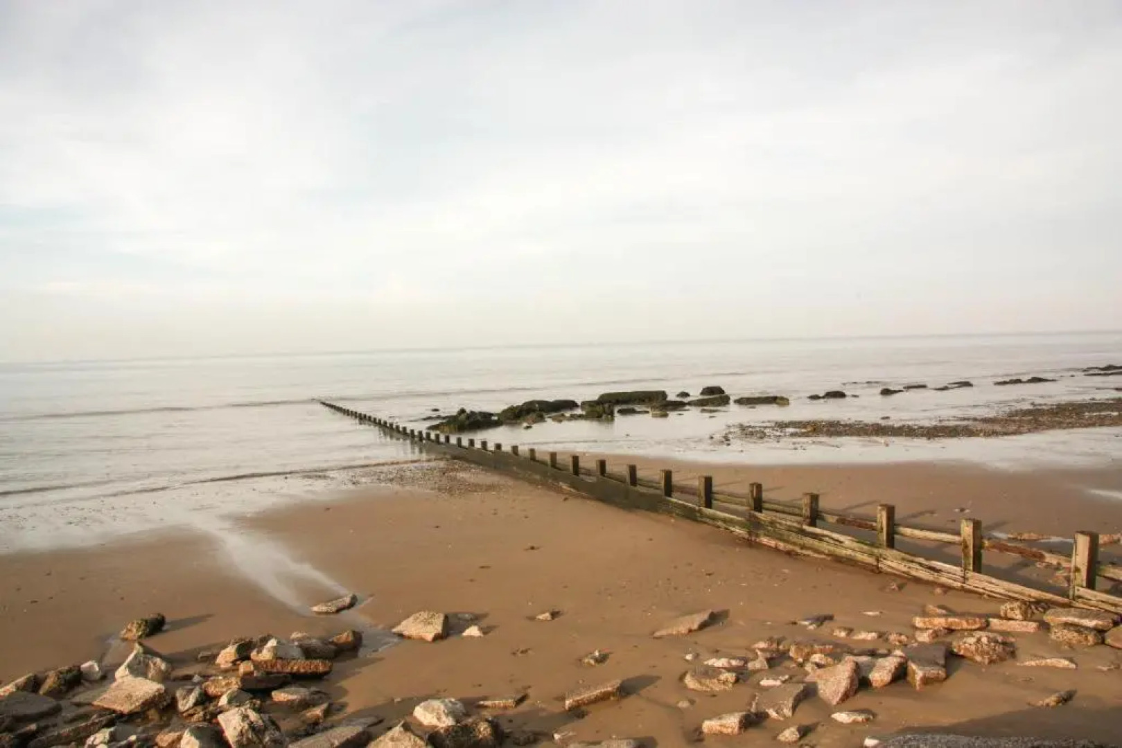 Cherry Tree 14, Lyons Robin Hood Park