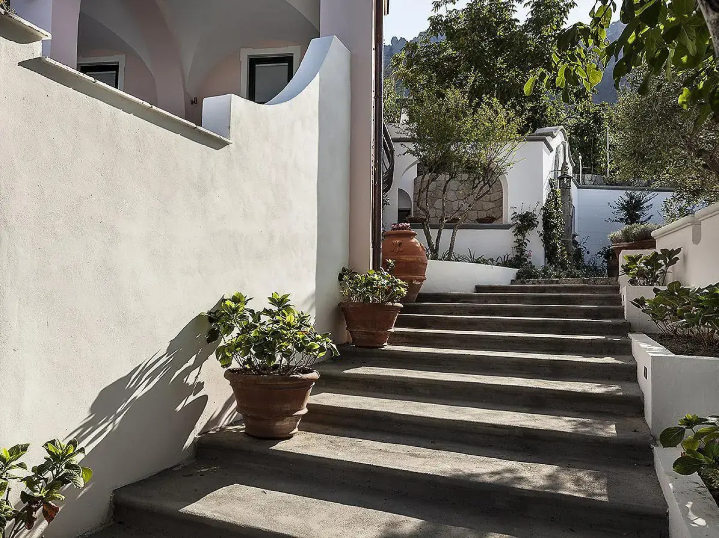 Tenuta del Poggio Antico