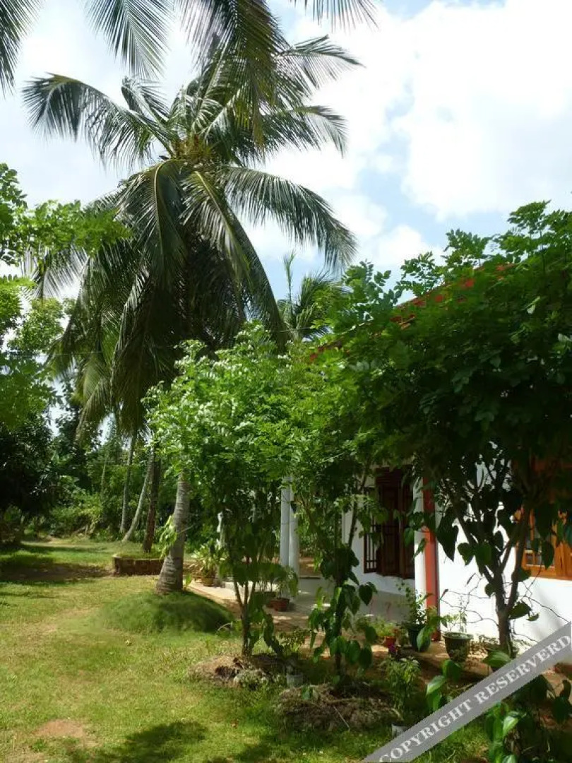 Serene Home Stay