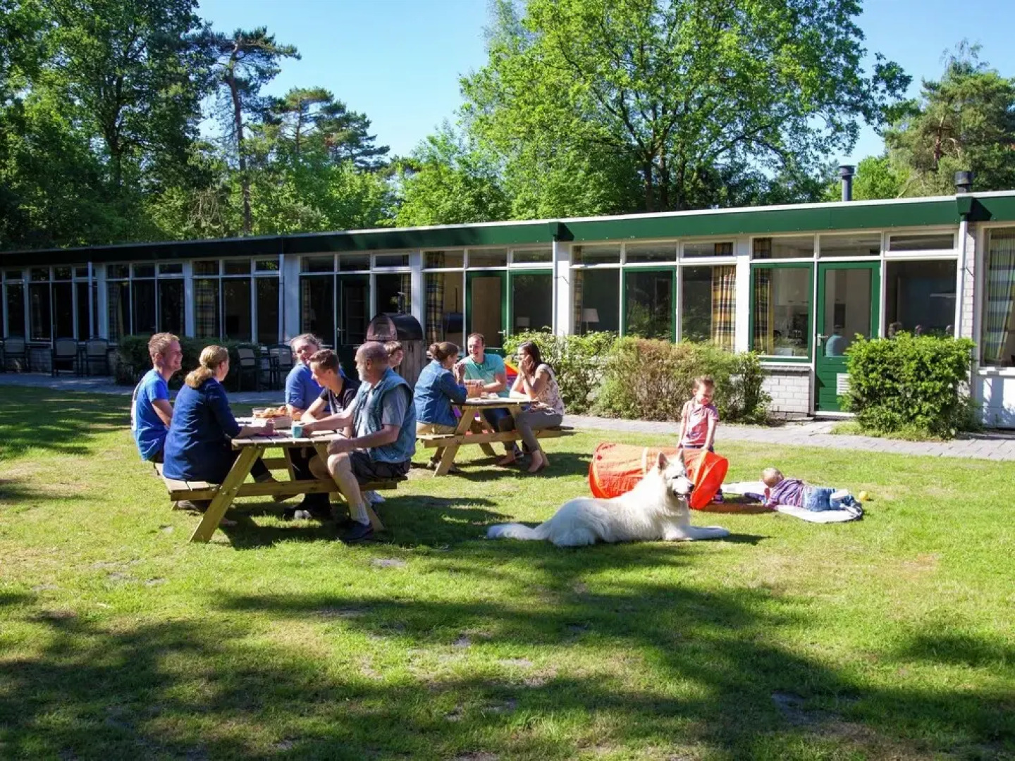 Group Accommodation Near Assen With Barbecue and Fireplace