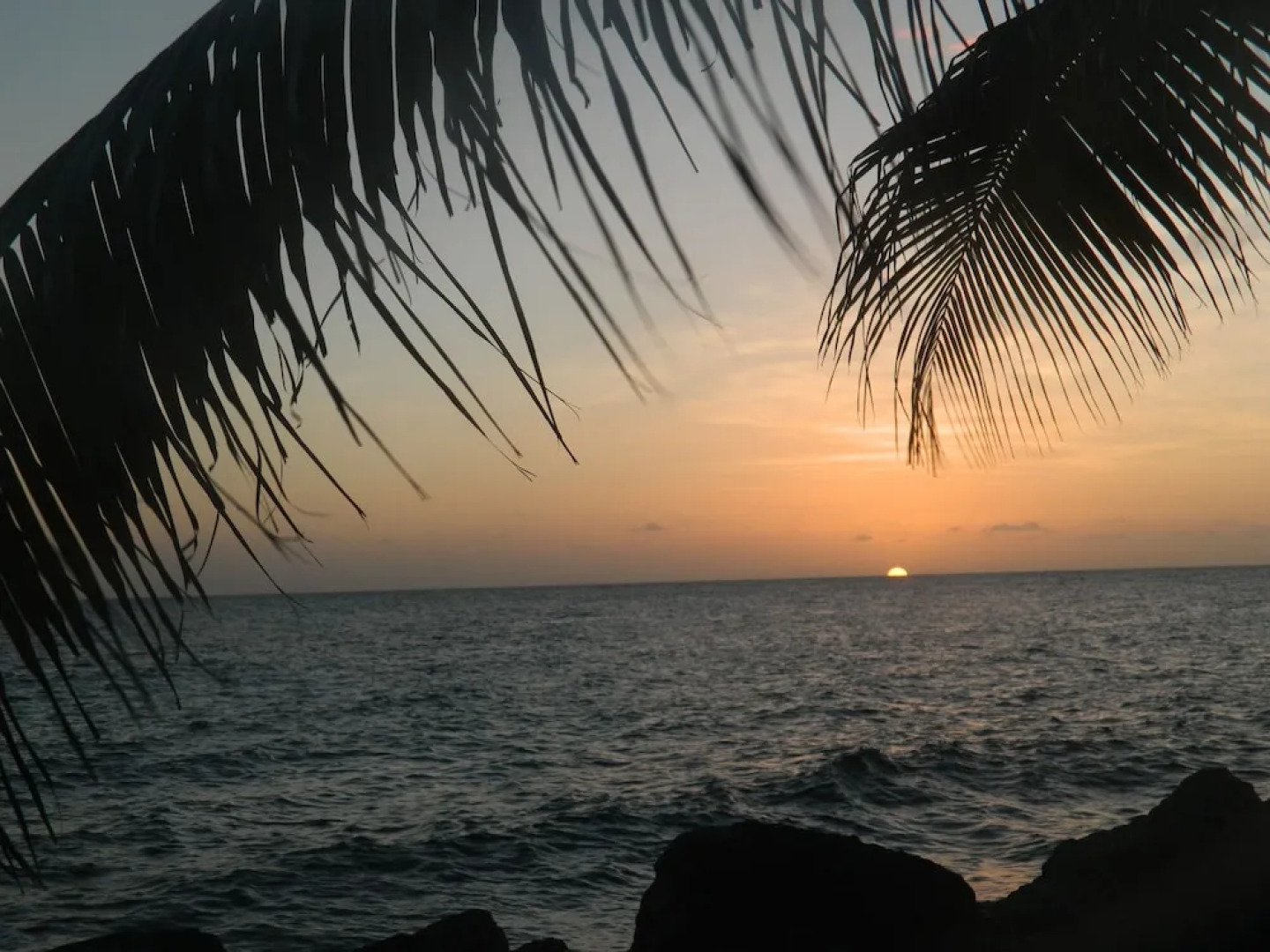 Hibiscus Beach House