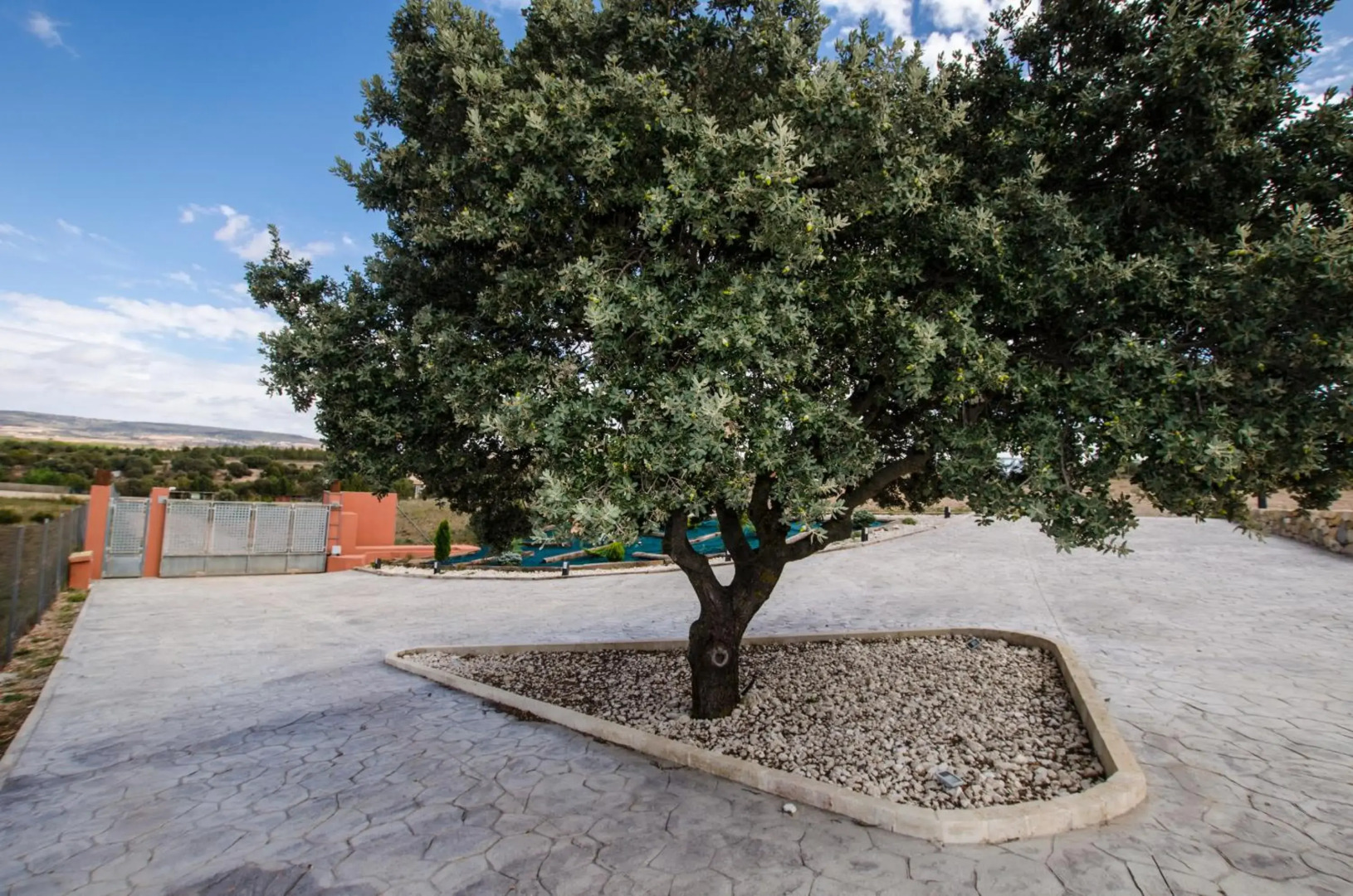 Casa Rural El Coscojar