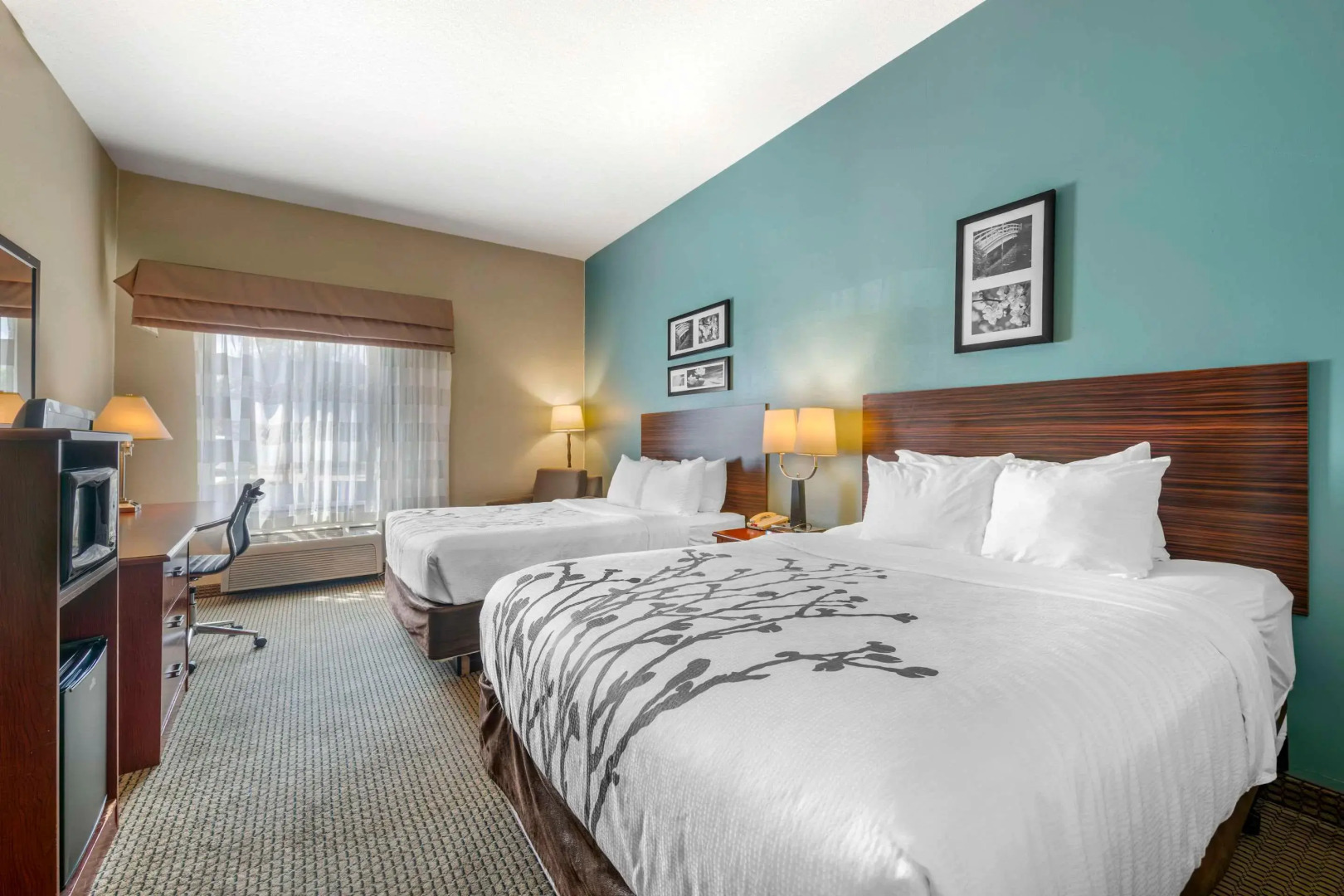 Sleep Inn And Suites Rapid City