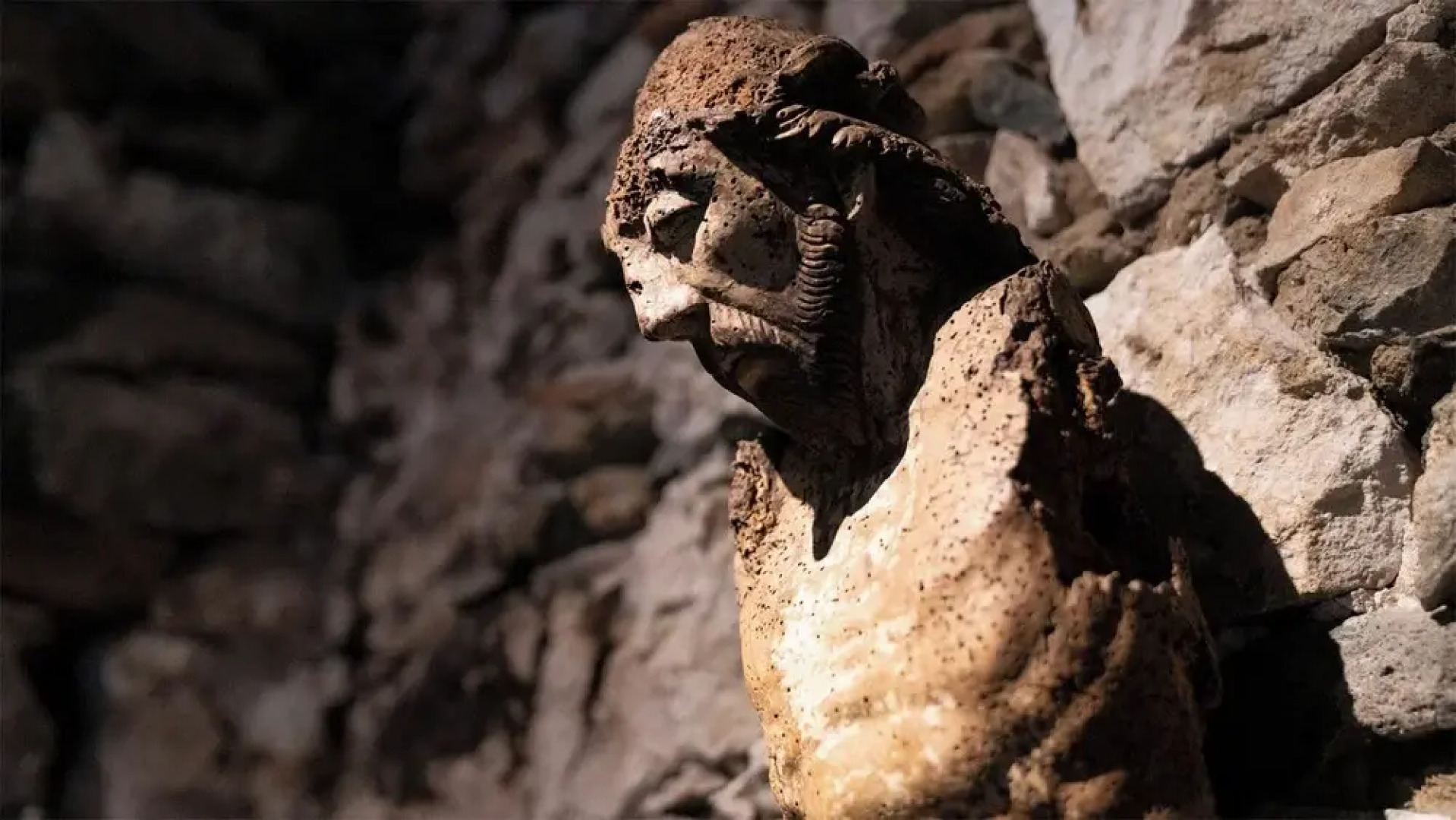 Sea and Sun 4 You - Porto Santo T1