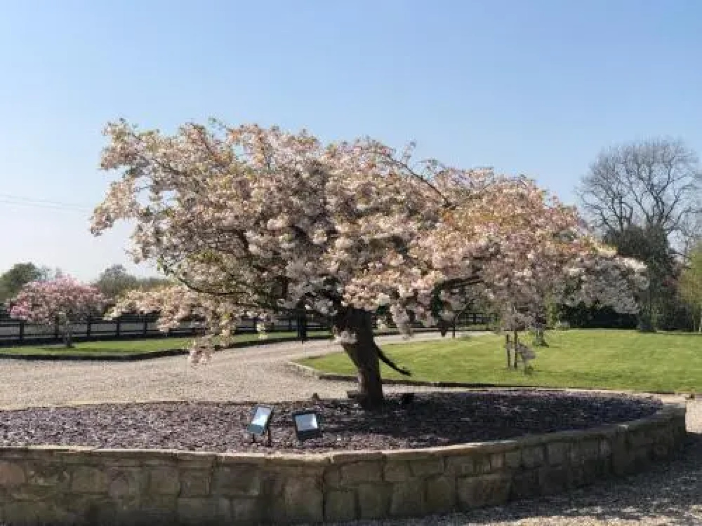 The Saddlery Cheshire