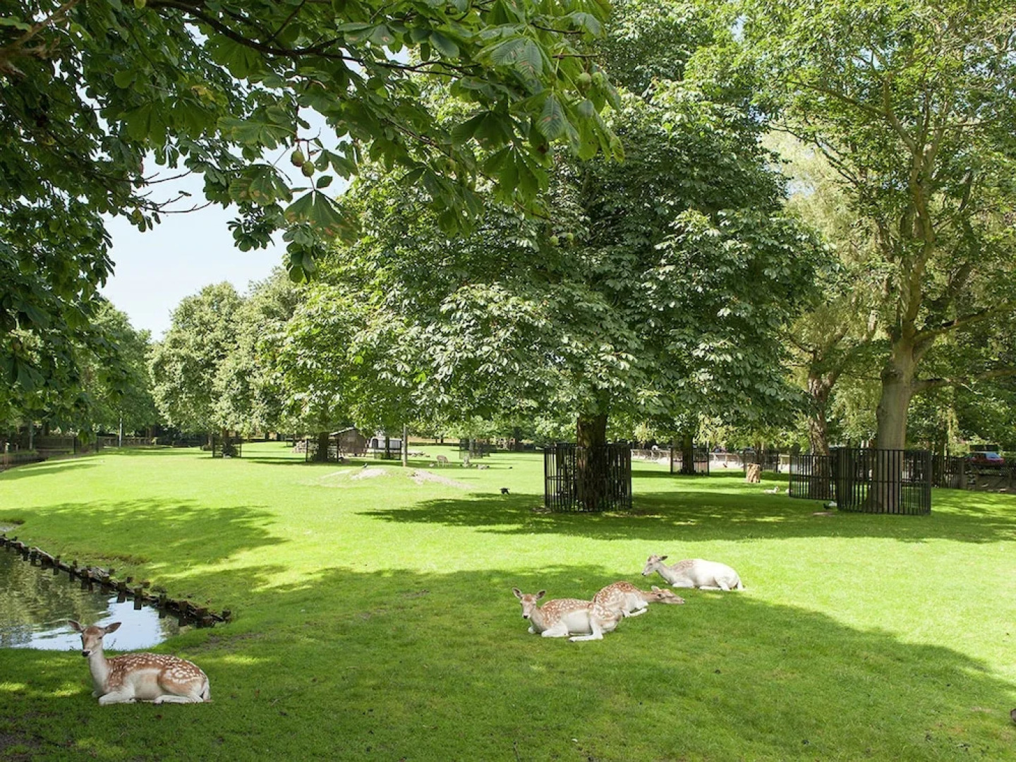 Terraced House at the Edge of Bergen With a View Across the Fields
