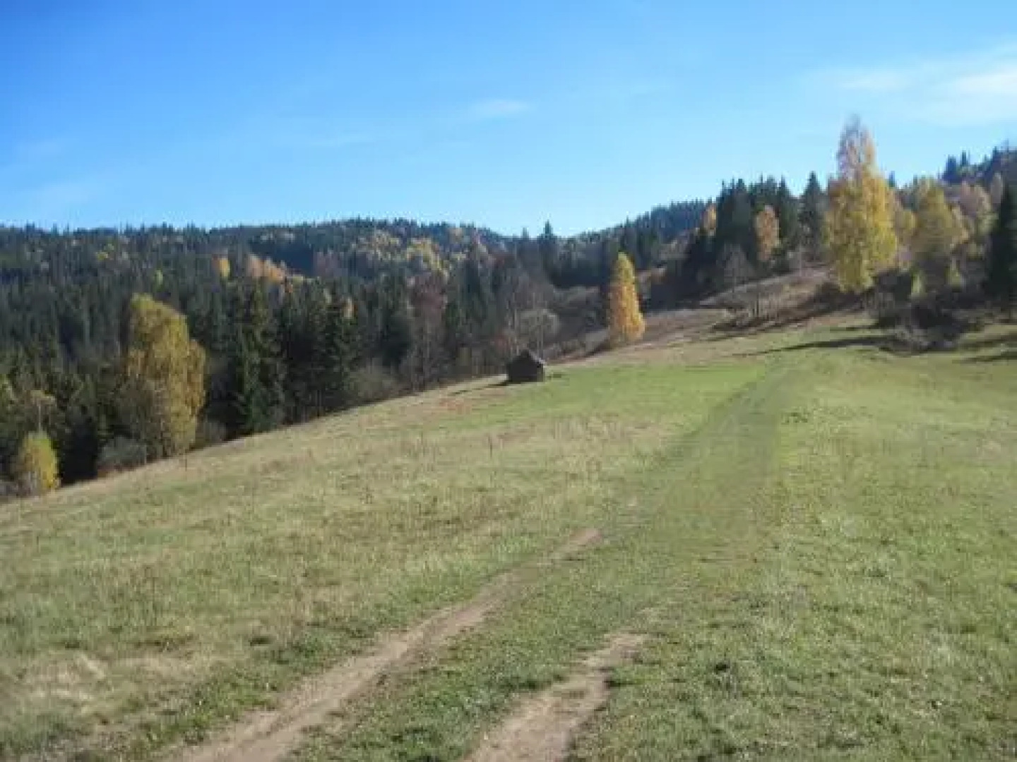 Guest House Stari Druzy