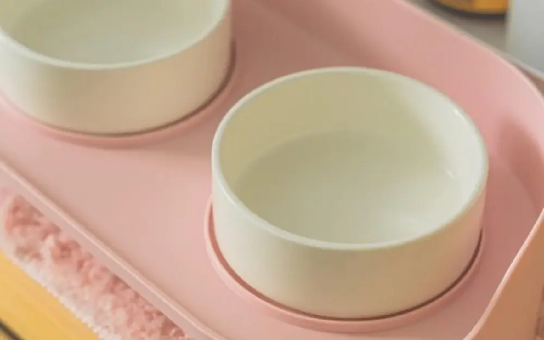 Gangneung Friends Pets Friendly Pension