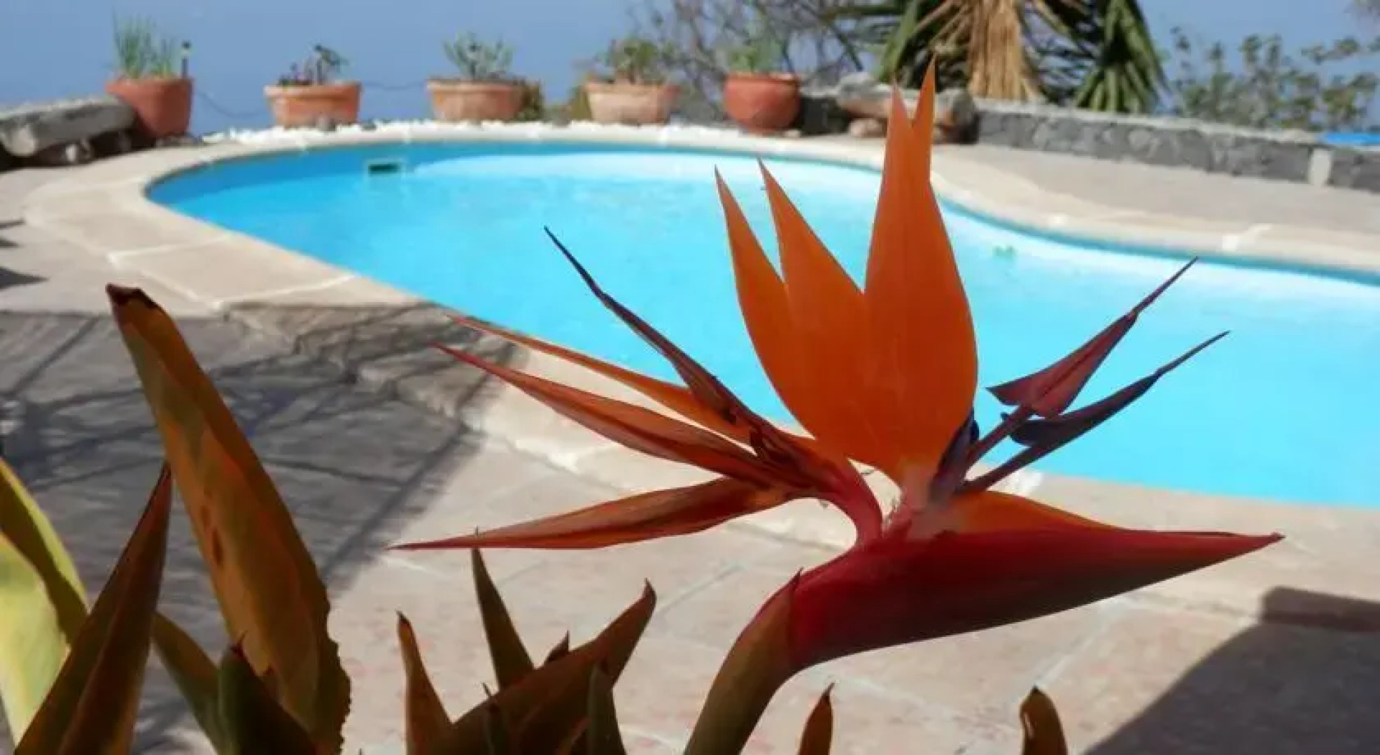 Fishermans Cottage Tenerife