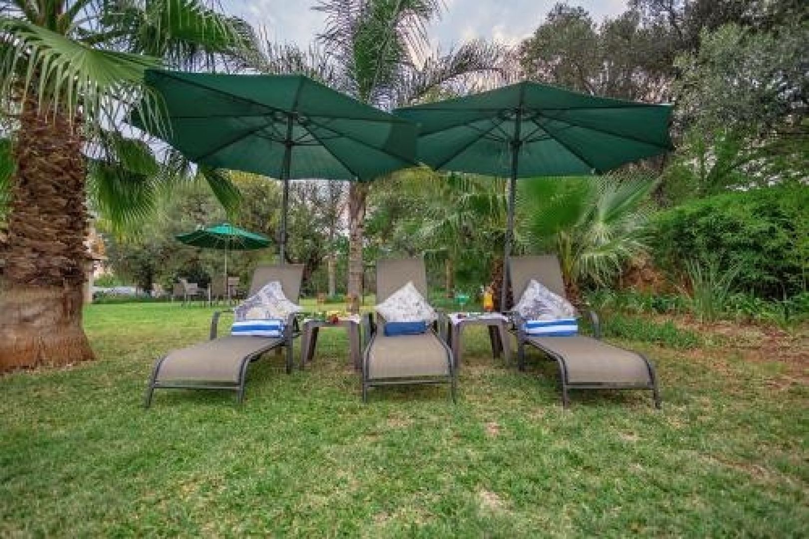 Three Oaks And An Aloe Boutique Hotel