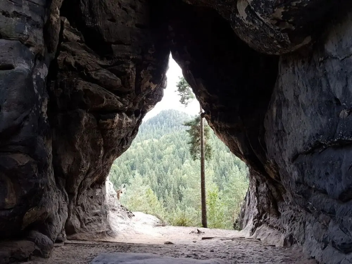 Apartment on the Ground Floor on the Wachberg