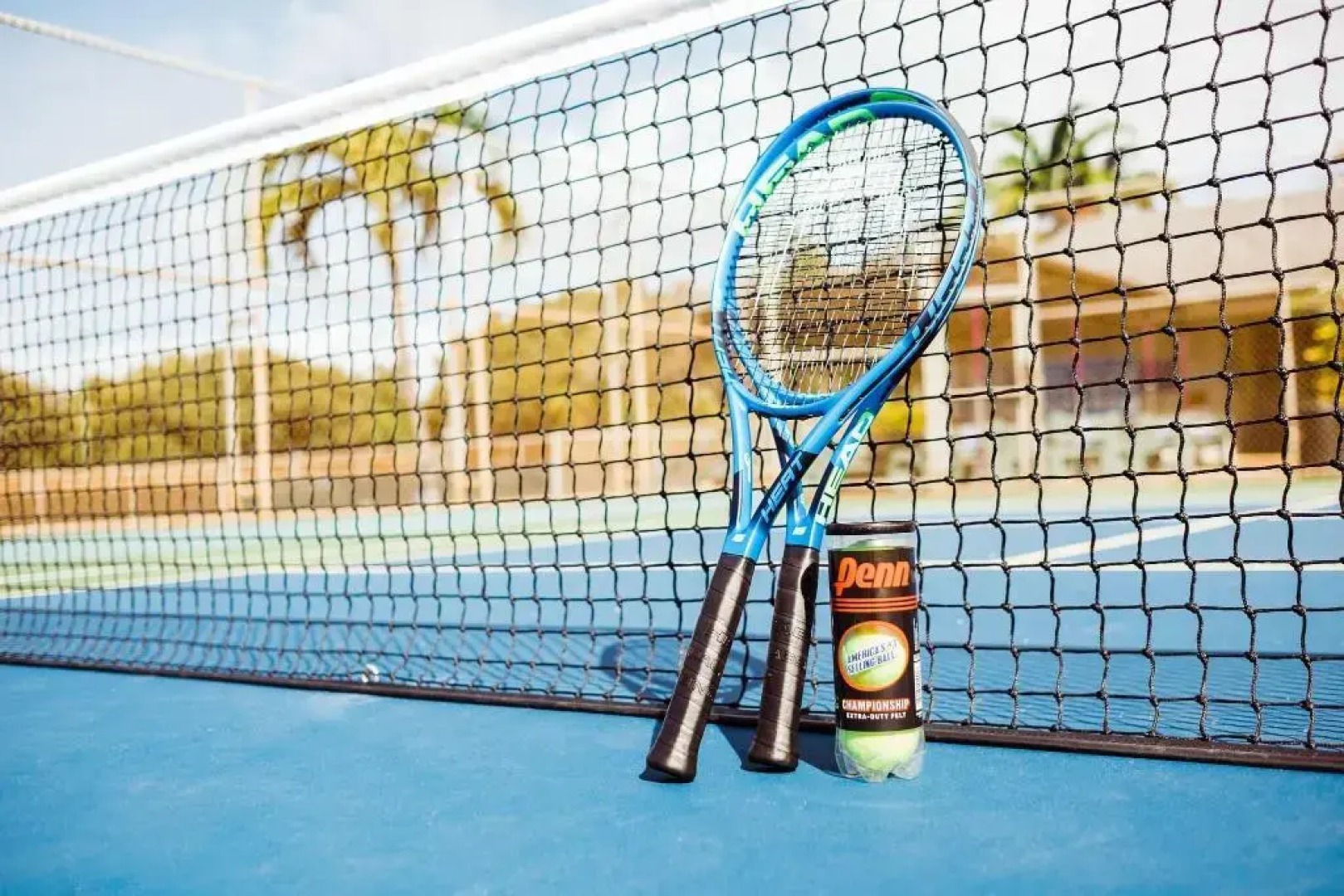 Lotus Honolulu at Diamond Head