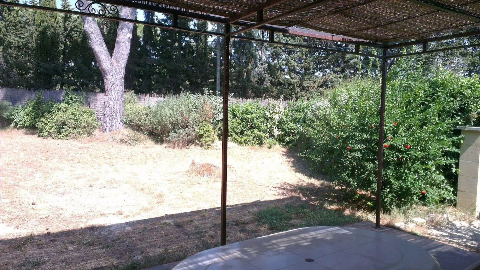 La Petite Maison Sous les Pins