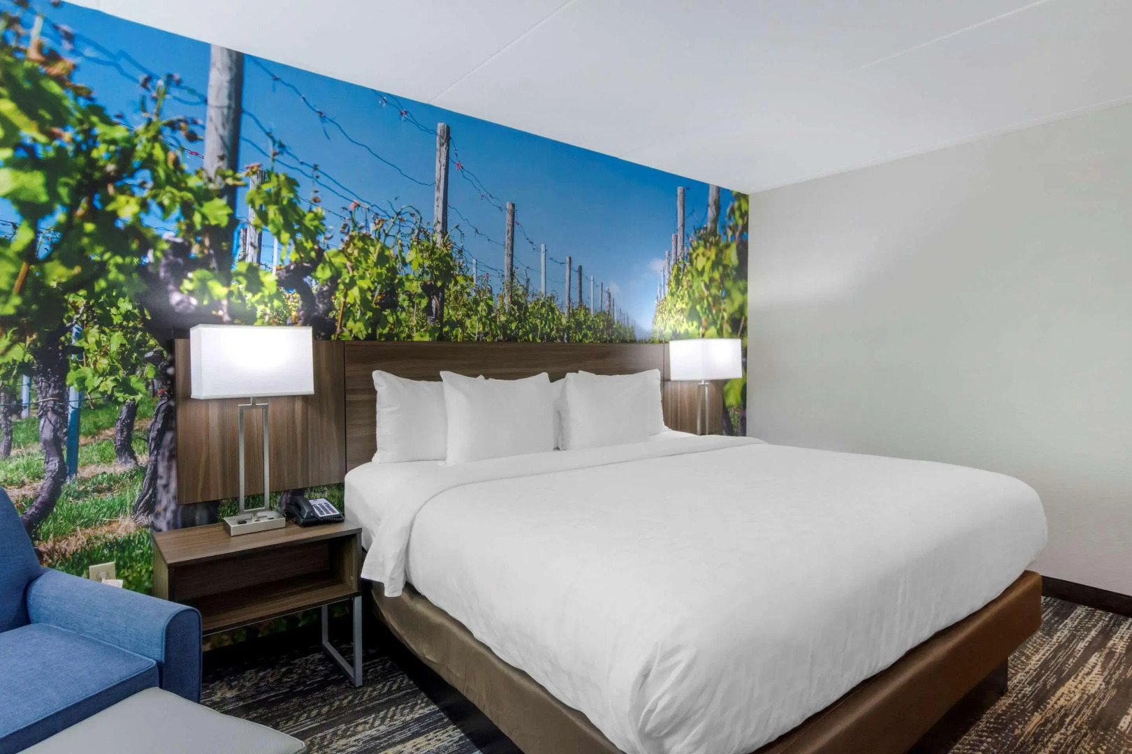 Comfort Inn University