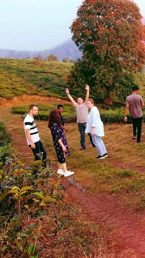 Cassells Jungle Resorts