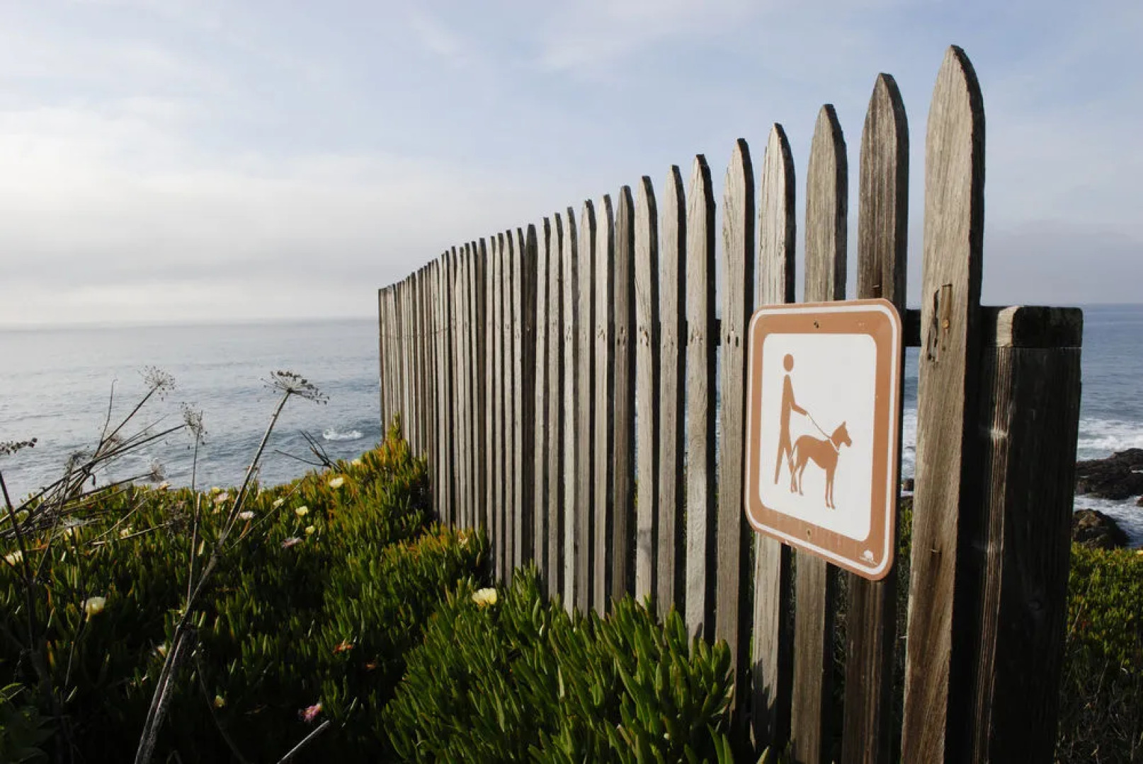 HI Point Montara Lighthouse Hostel