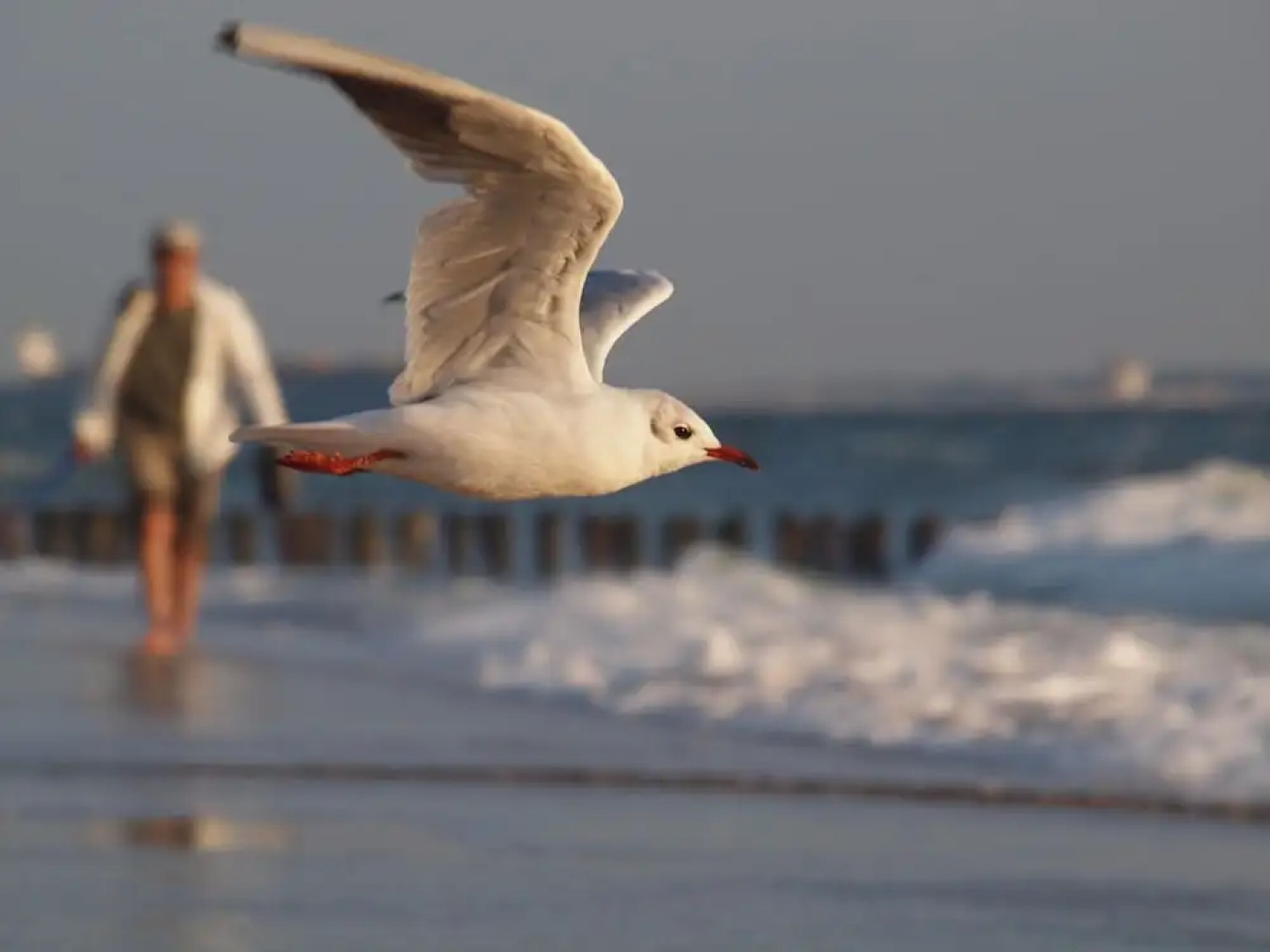 Apartment Near South Beach With Sauna